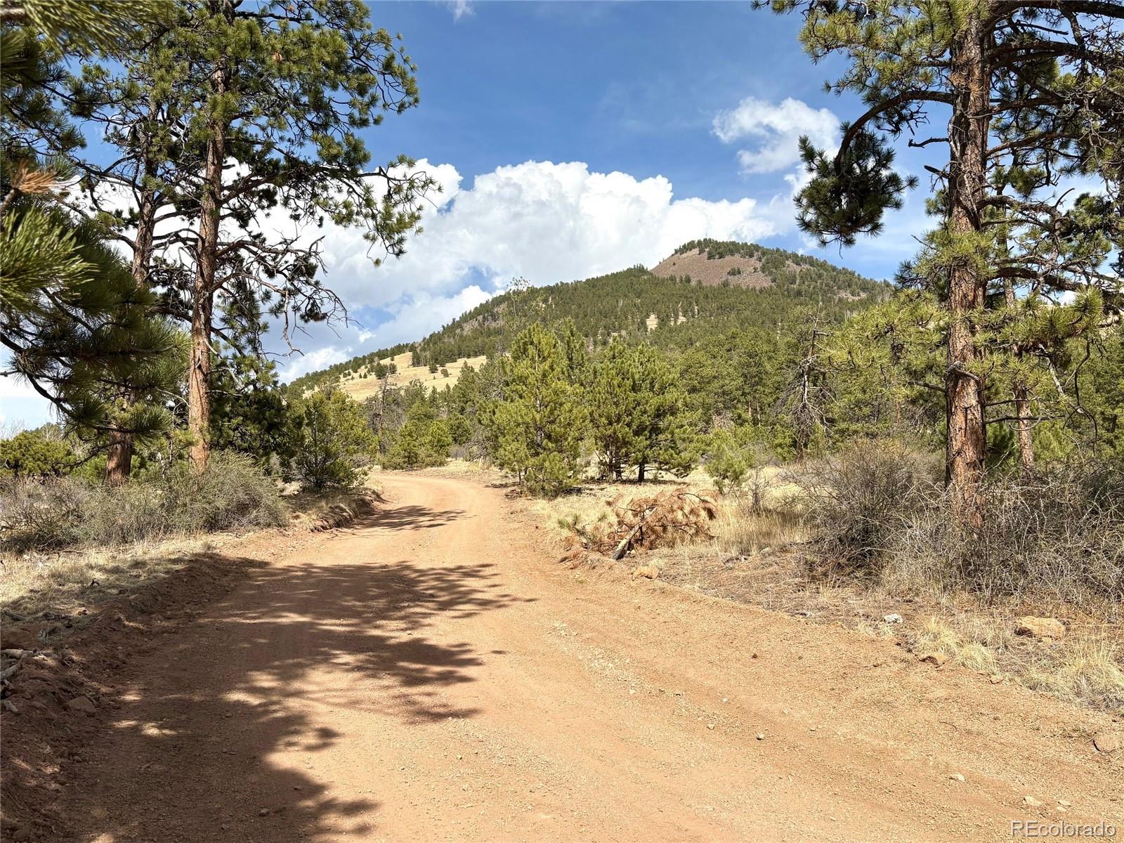 MLS Image #36 for 2121  cr 1 ,florissant, Colorado