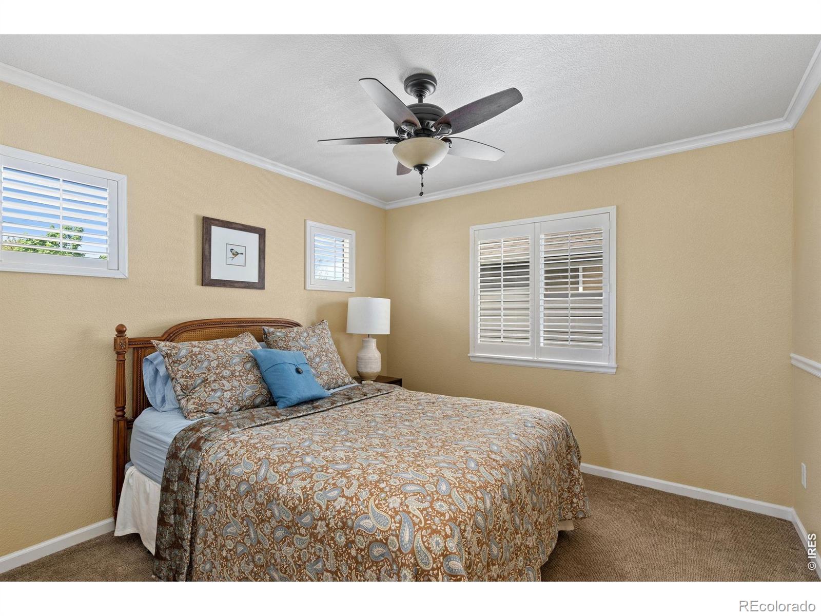 MLS Image #20 for 2856  des moines drive,fort collins, Colorado