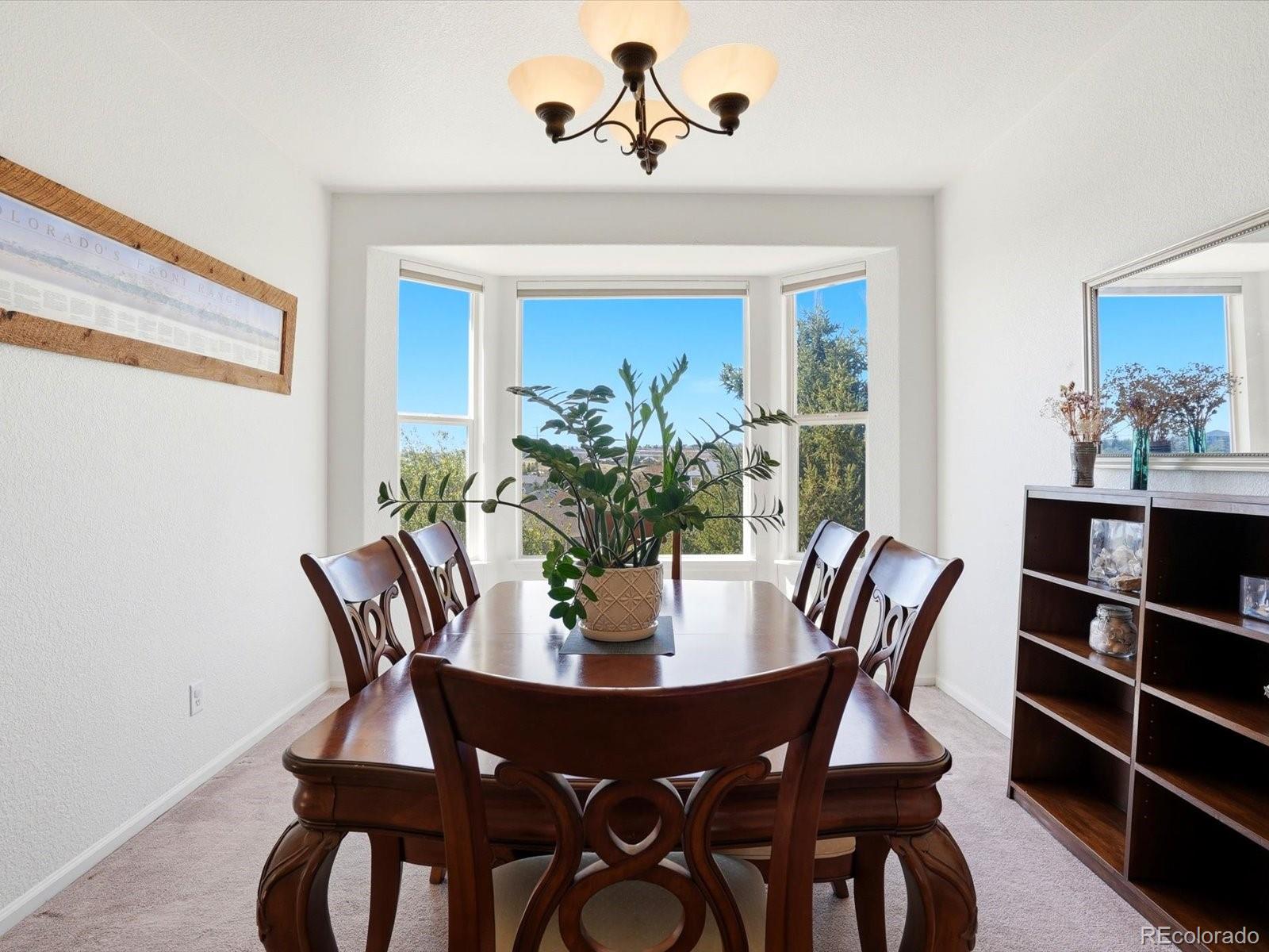 MLS Image #21 for 1780  peridot lane,castle rock, Colorado