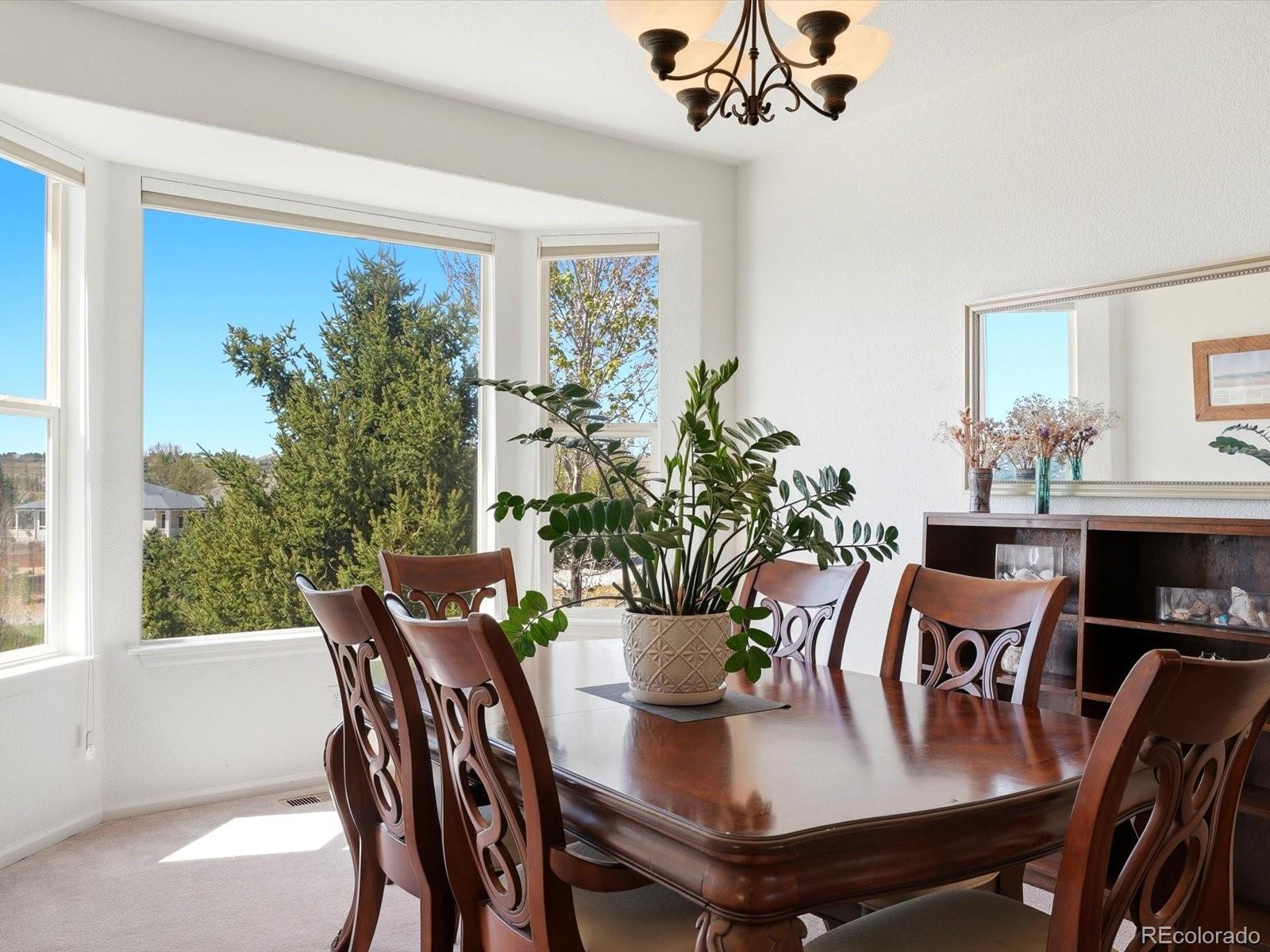 MLS Image #23 for 1780  peridot lane,castle rock, Colorado