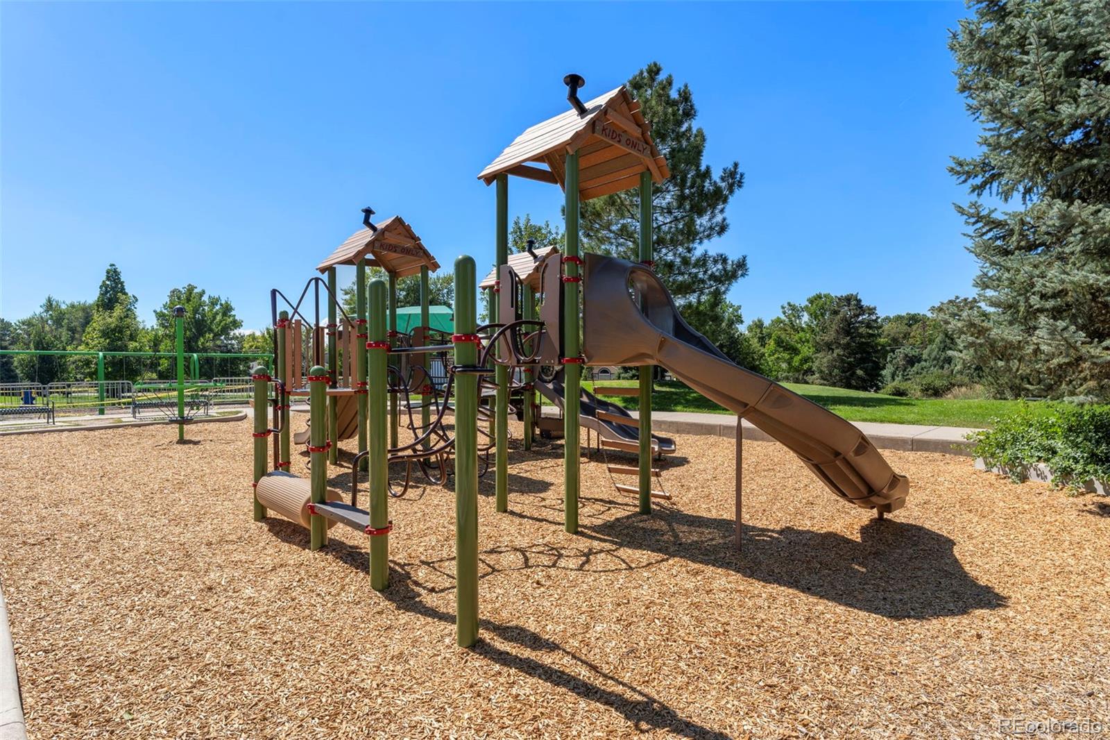MLS Image #25 for 1421  glencoe street,denver, Colorado