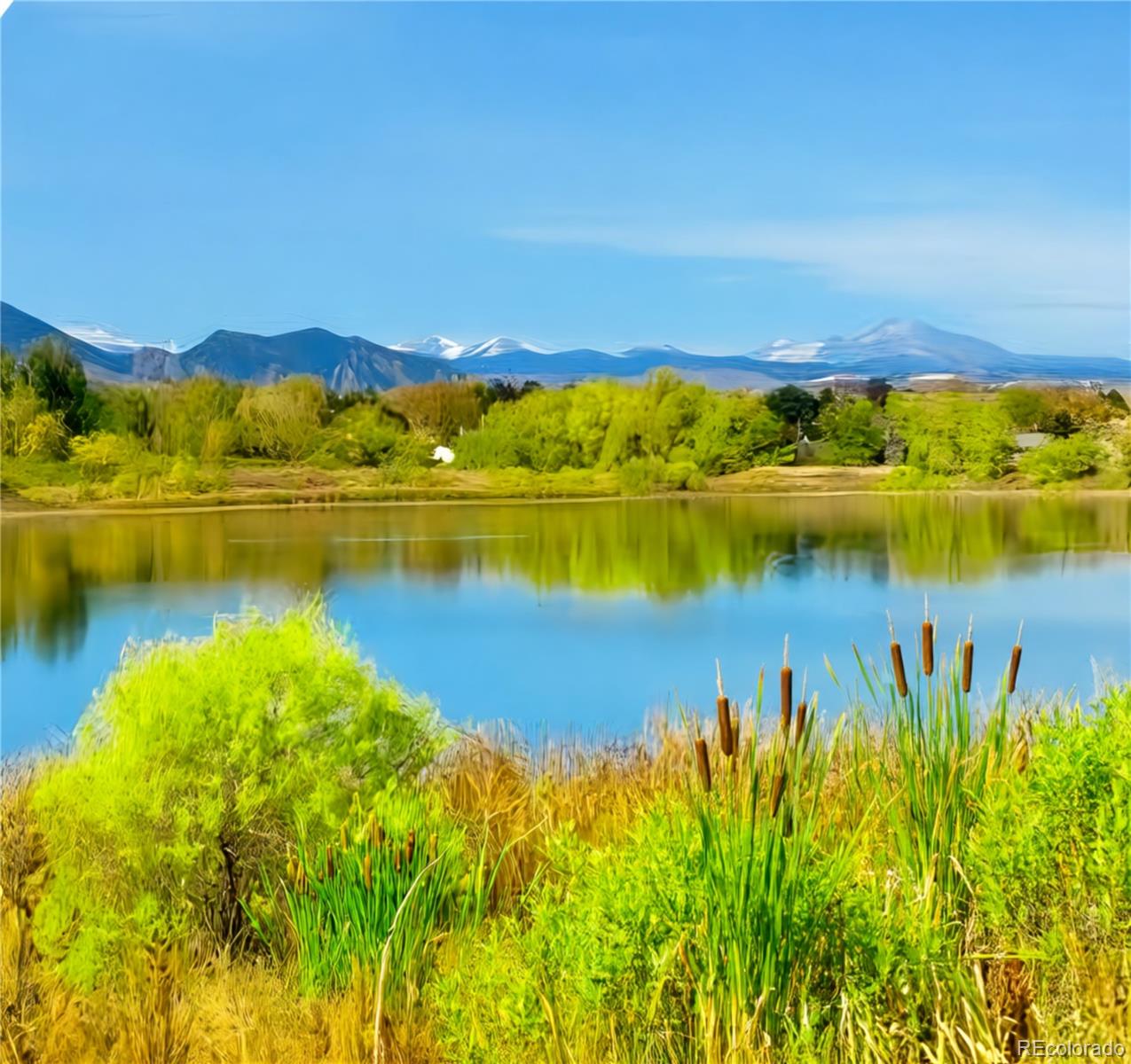 MLS Image #28 for 10454  nelson street,broomfield, Colorado