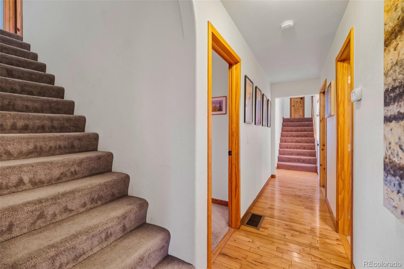 MLS Image #12 for 48  teton trail,como, Colorado