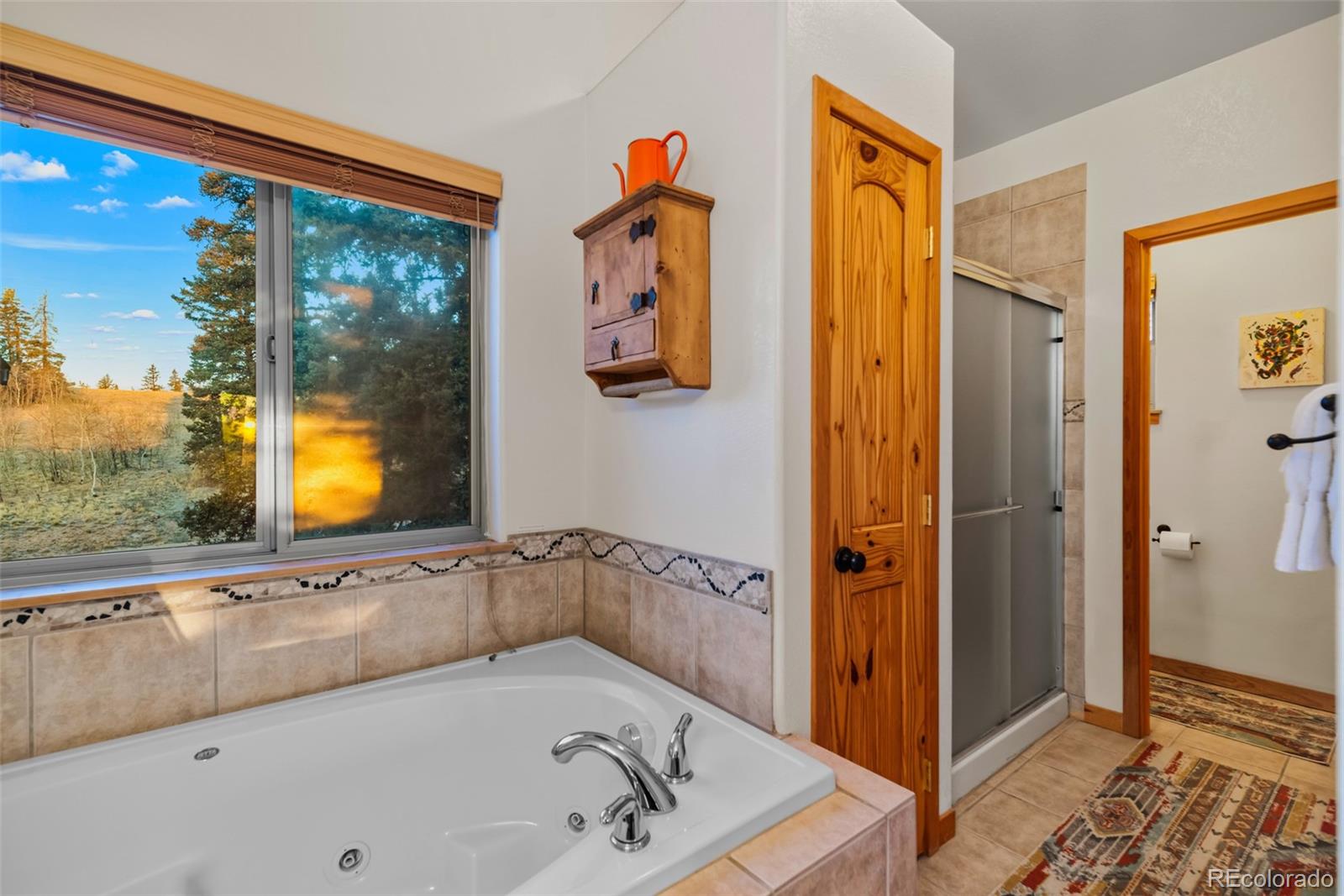 MLS Image #16 for 48  teton trail,como, Colorado