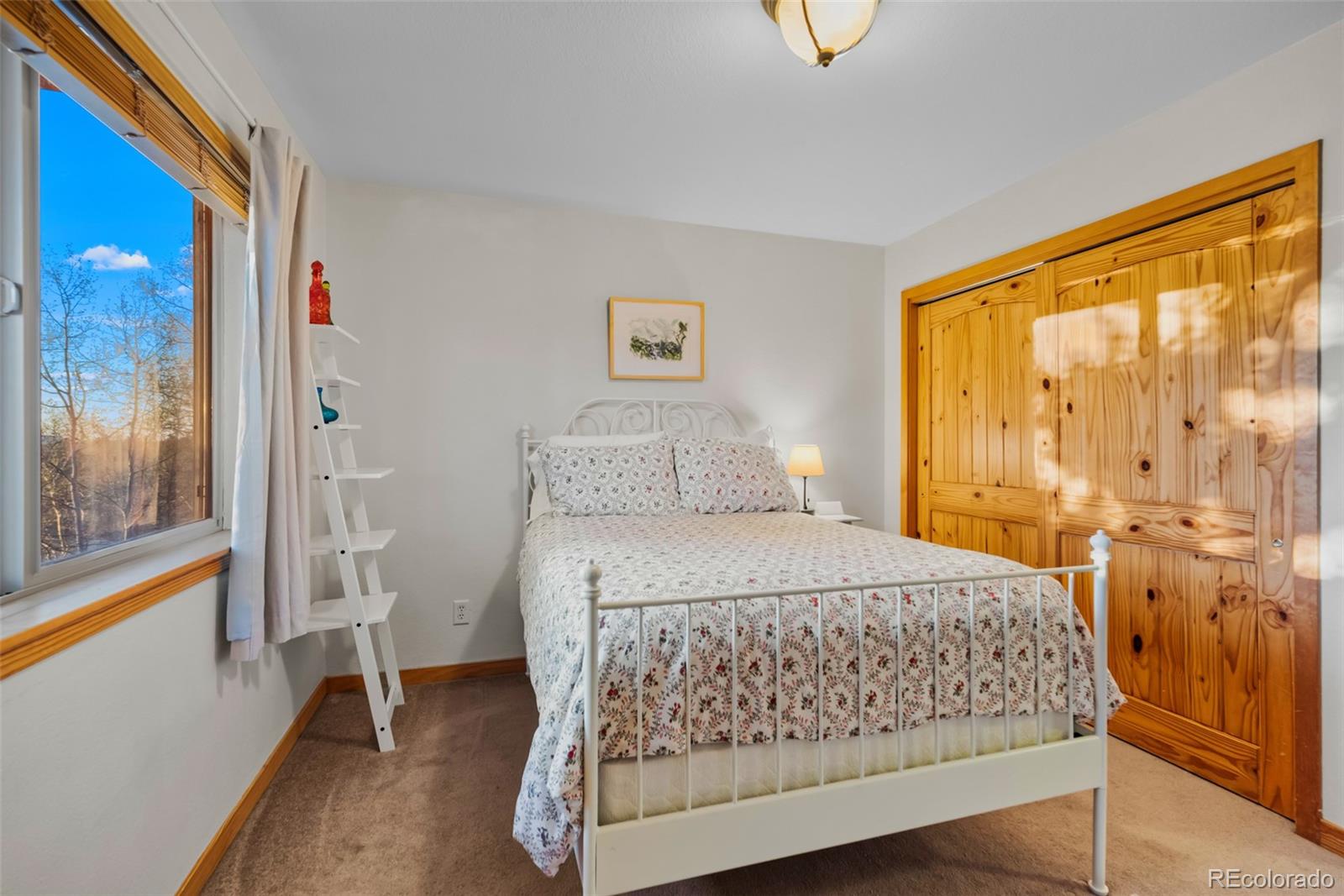 MLS Image #18 for 48  teton trail,como, Colorado