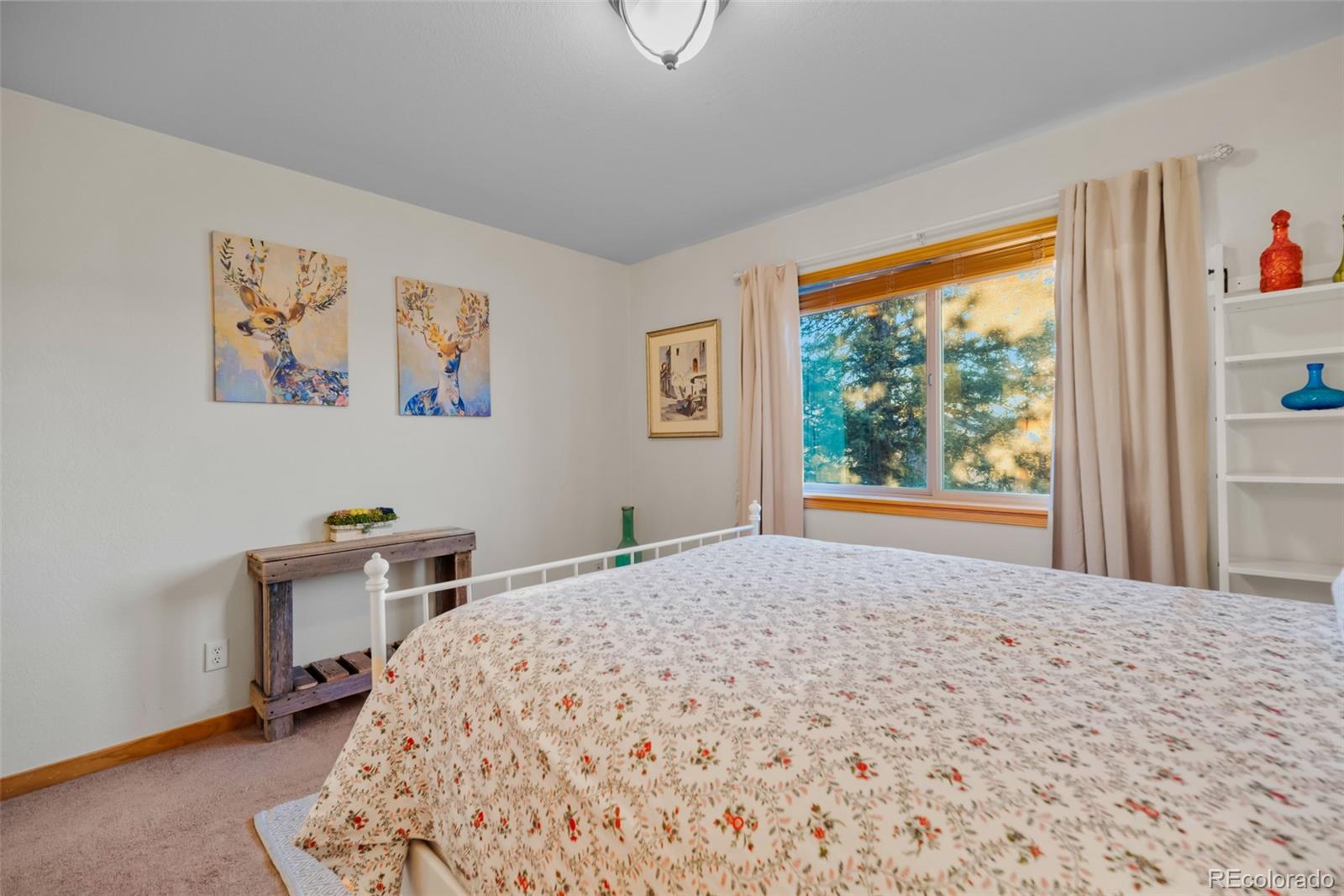 MLS Image #19 for 48  teton trail,como, Colorado