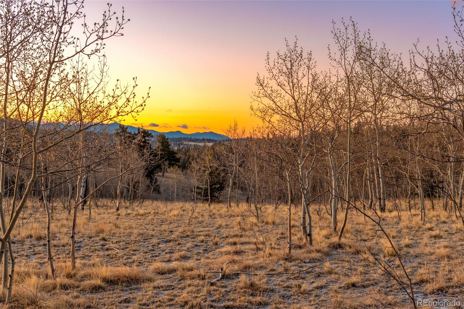 MLS Image #37 for 48  teton trail,como, Colorado