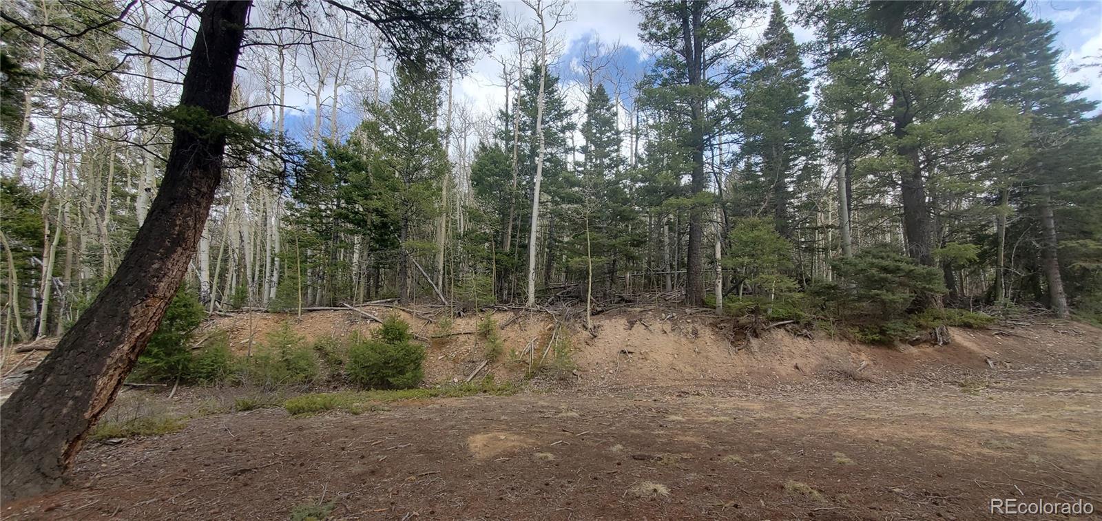 MLS Image #16 for 6800  starkweather road,san luis, Colorado