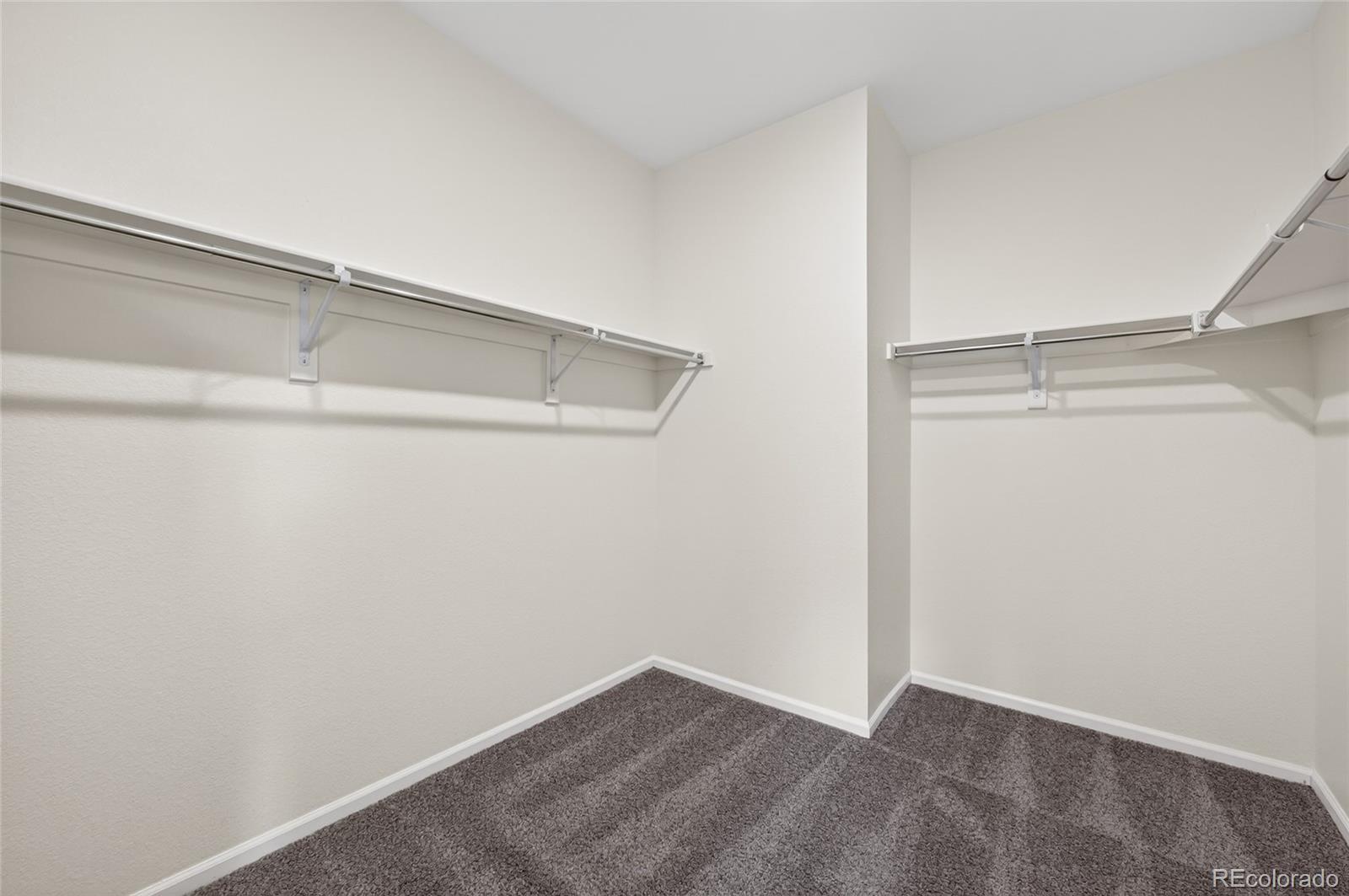 MLS Image #21 for 5921  plains end court,castle rock, Colorado
