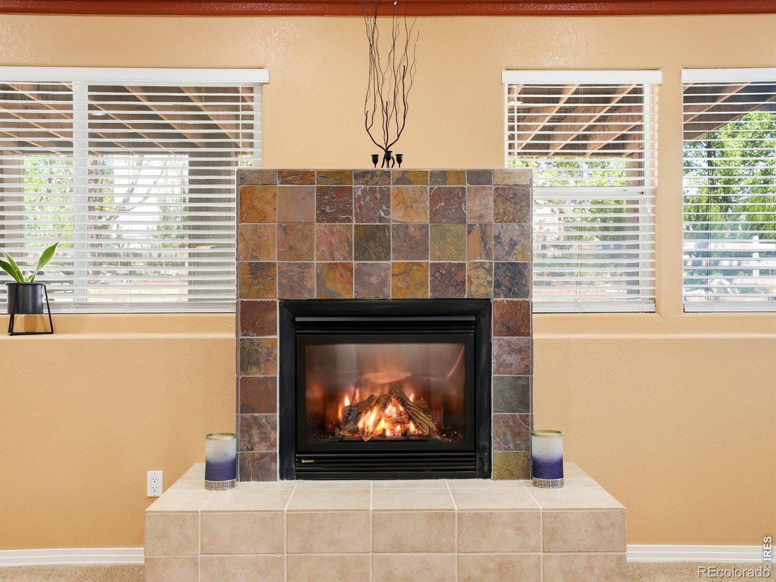 MLS Image #27 for 445  edison place,superior, Colorado