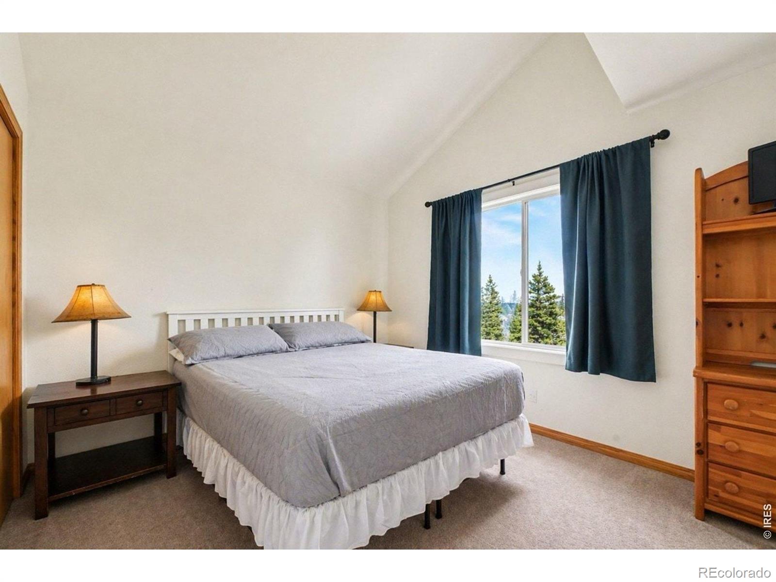 MLS Image #10 for 370  lone pine creek drive,red feather lakes, Colorado