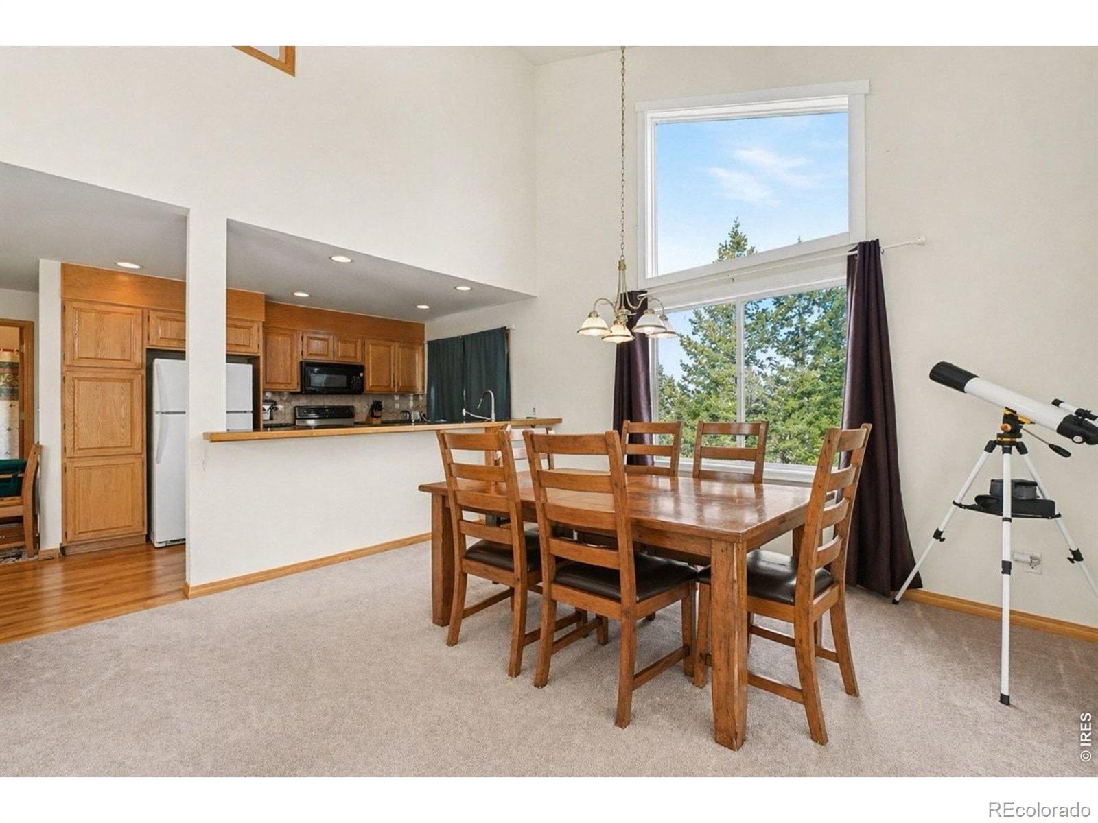 MLS Image #14 for 370  lone pine creek drive,red feather lakes, Colorado