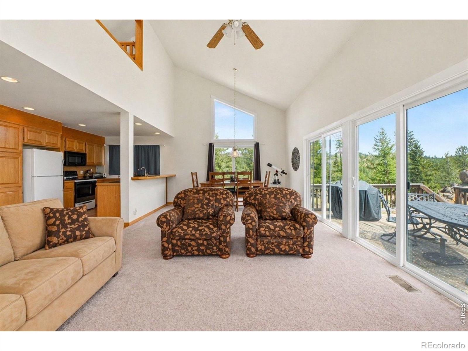 MLS Image #18 for 370  lone pine creek drive,red feather lakes, Colorado