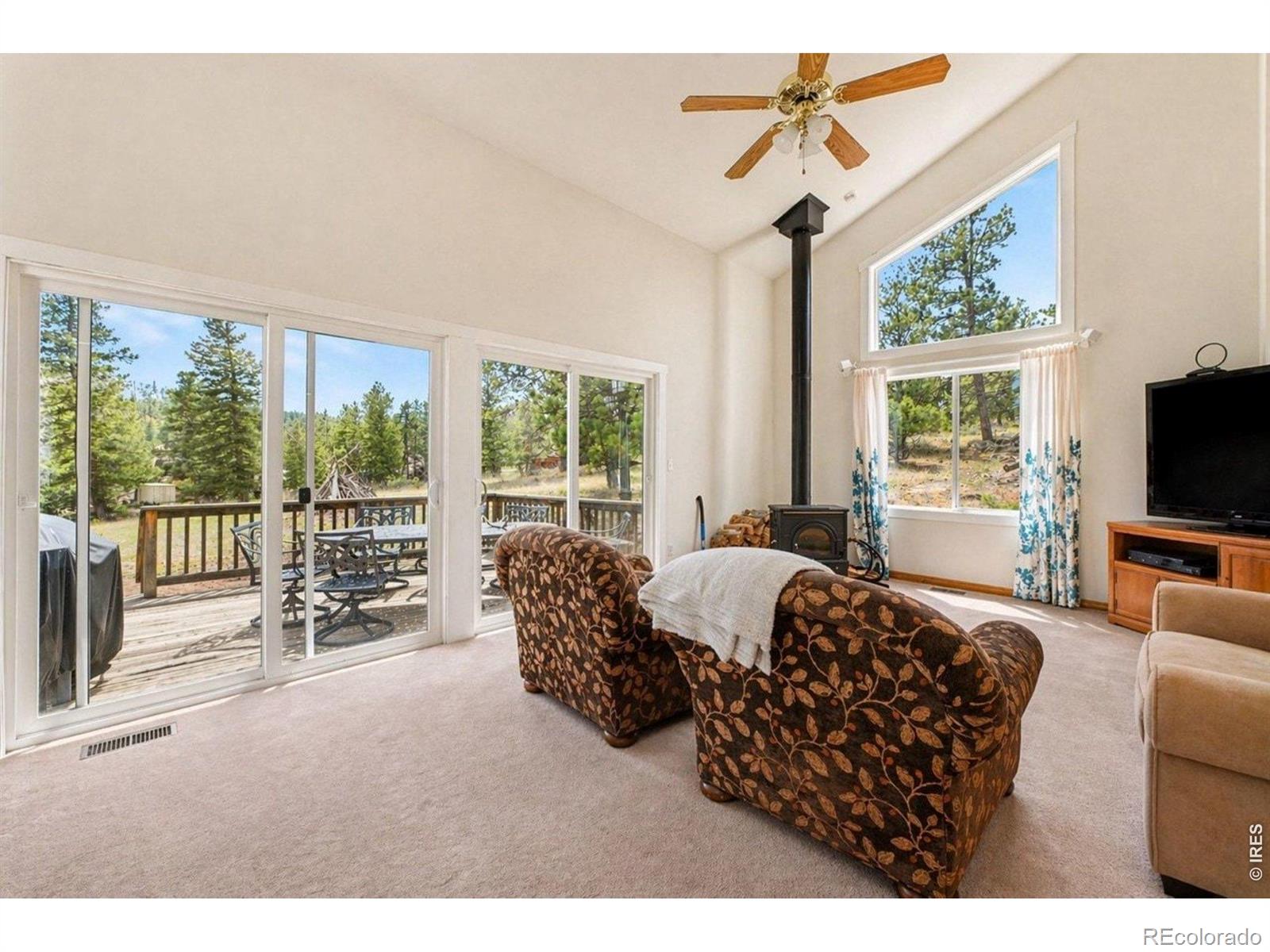 MLS Image #19 for 370  lone pine creek drive,red feather lakes, Colorado