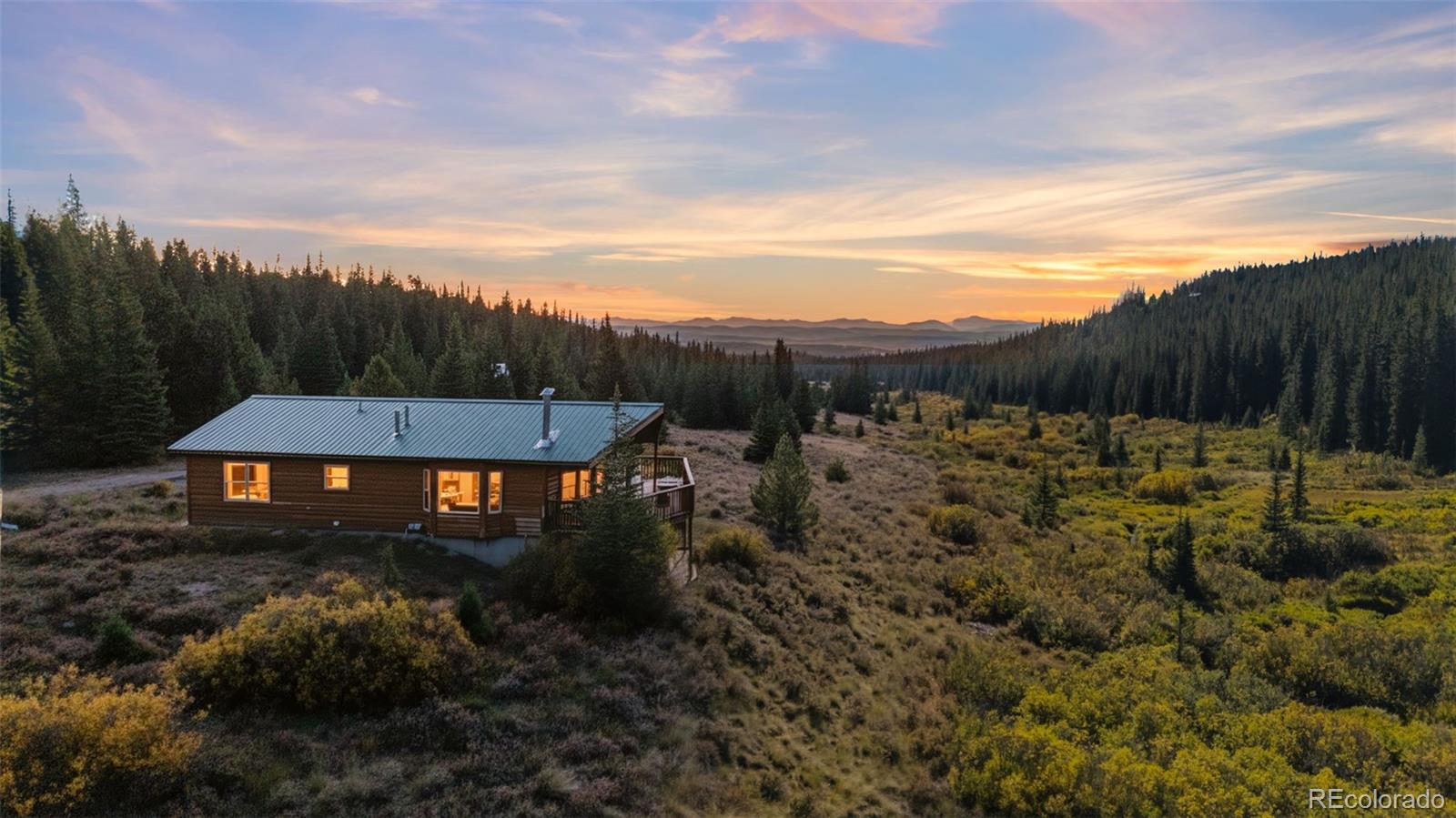 MLS Image #1 for 162 s silk sisters place,fairplay, Colorado