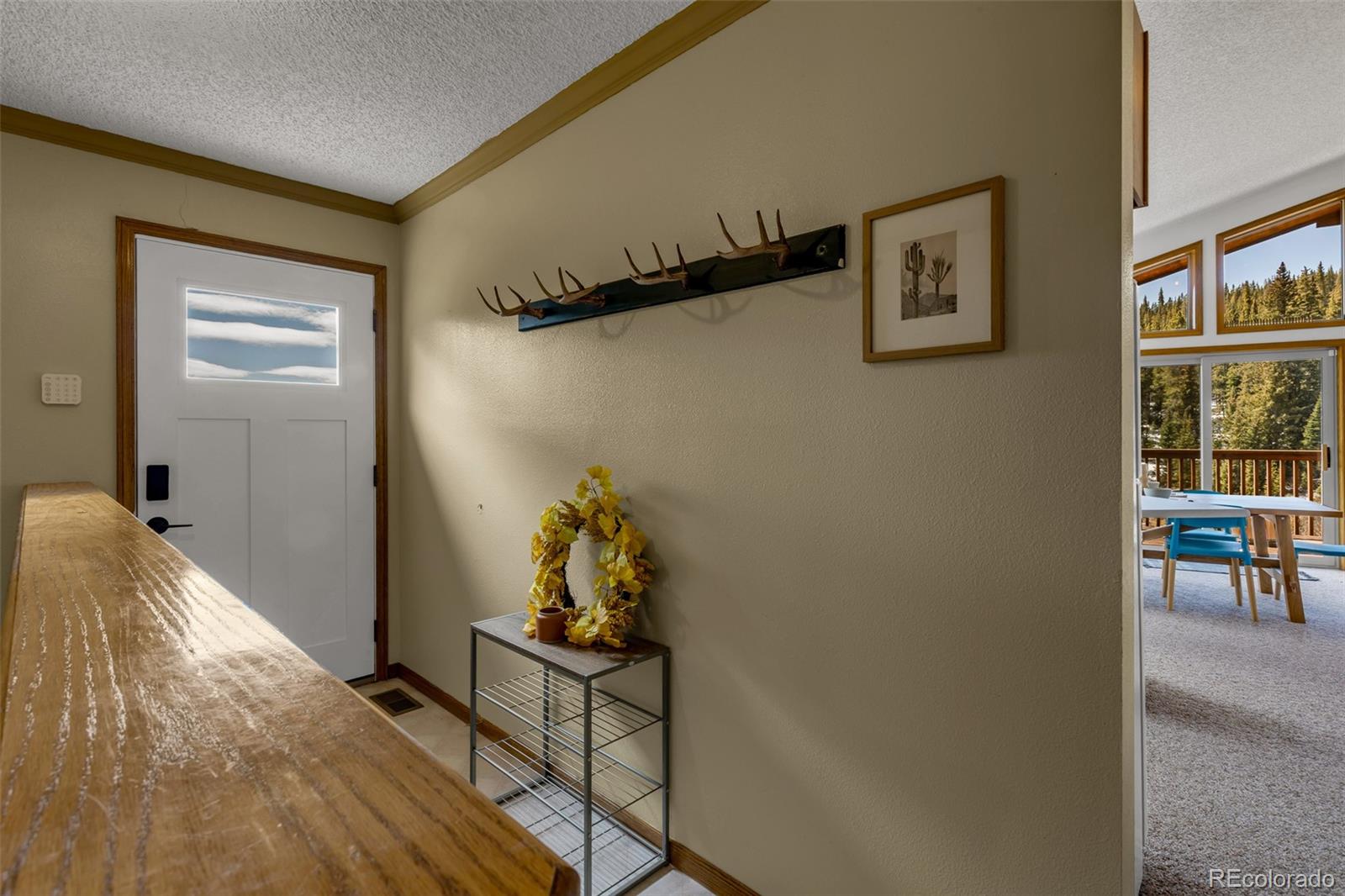 MLS Image #10 for 162 s silk sisters place,fairplay, Colorado
