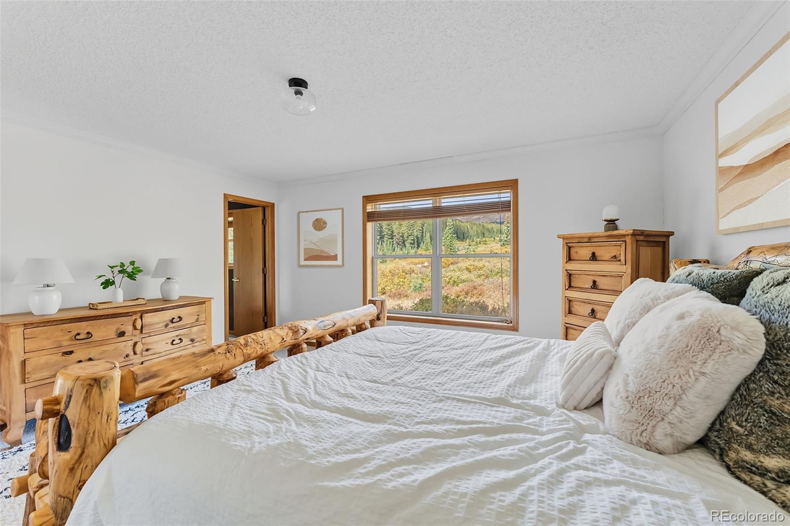 MLS Image #12 for 162 s silk sisters place,fairplay, Colorado