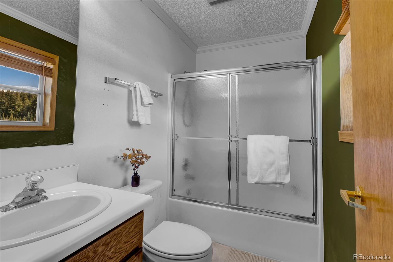 MLS Image #13 for 162 s silk sisters place,fairplay, Colorado