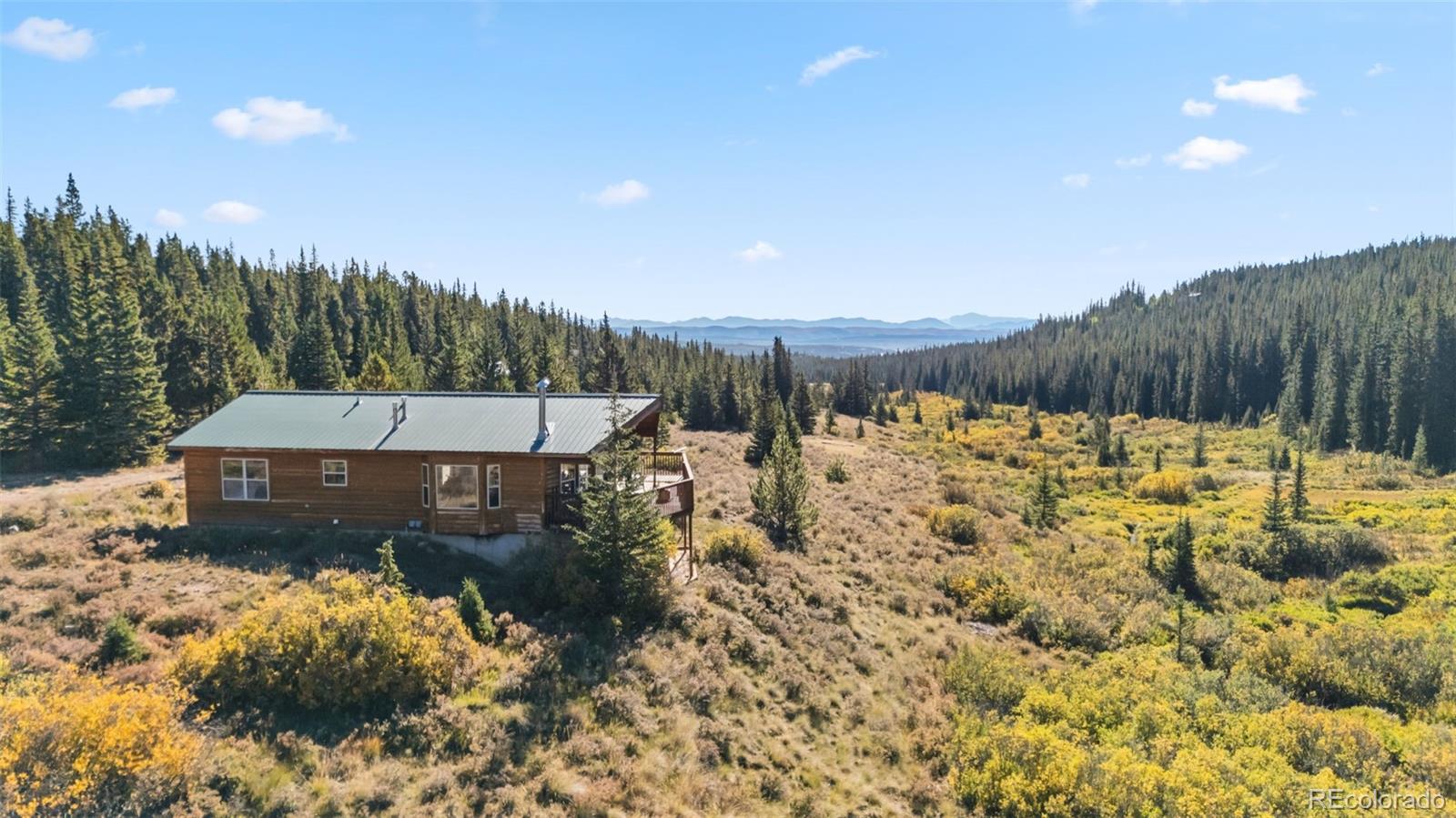 MLS Image #14 for 162 s silk sisters place,fairplay, Colorado