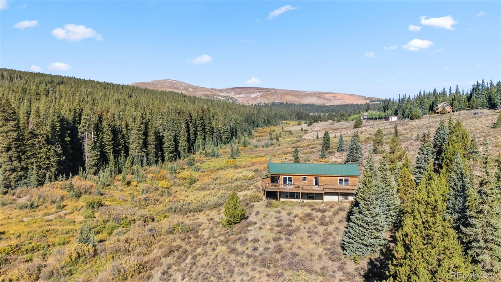MLS Image #15 for 162 s silk sisters place,fairplay, Colorado