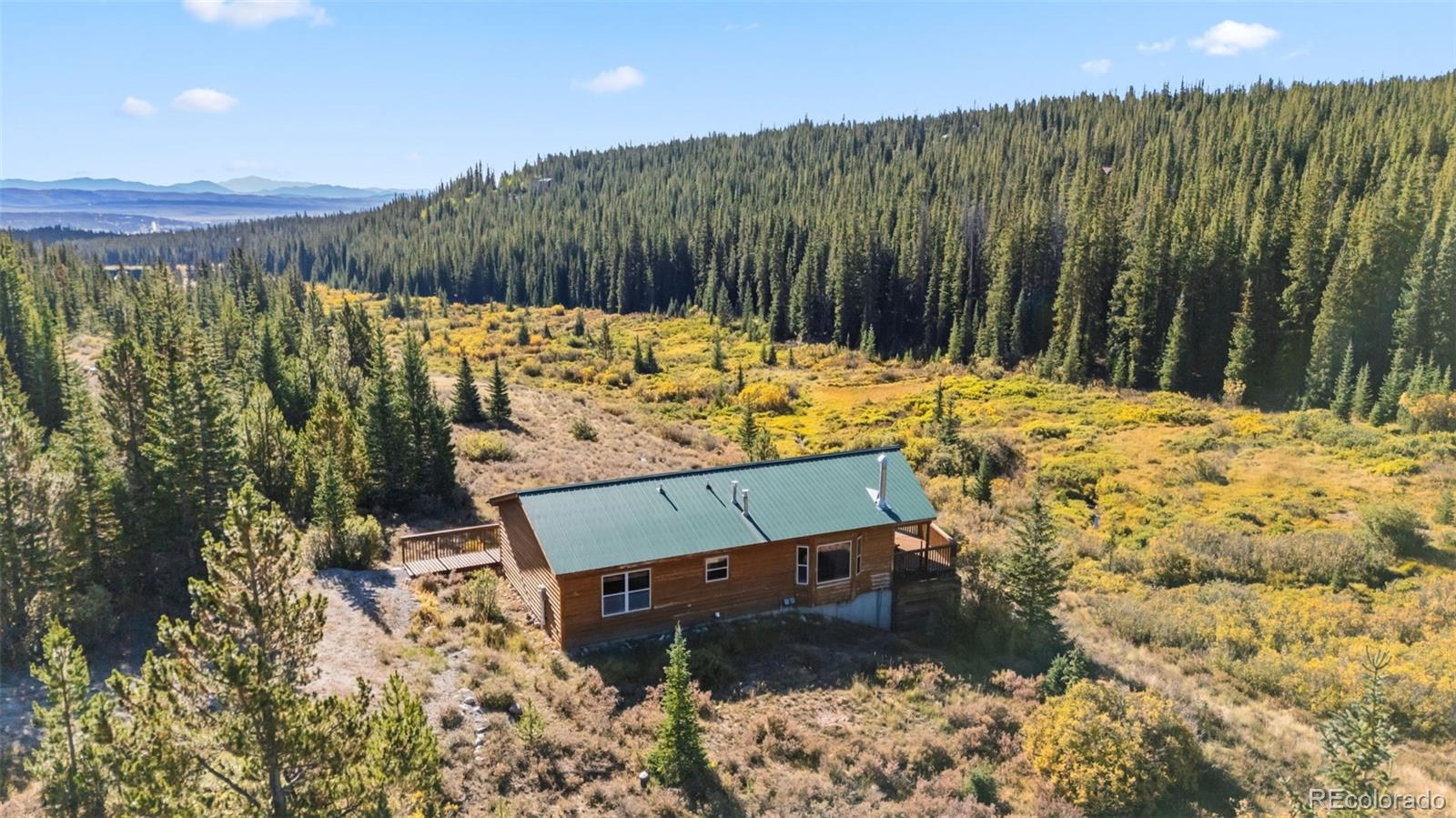 MLS Image #16 for 162 s silk sisters place,fairplay, Colorado