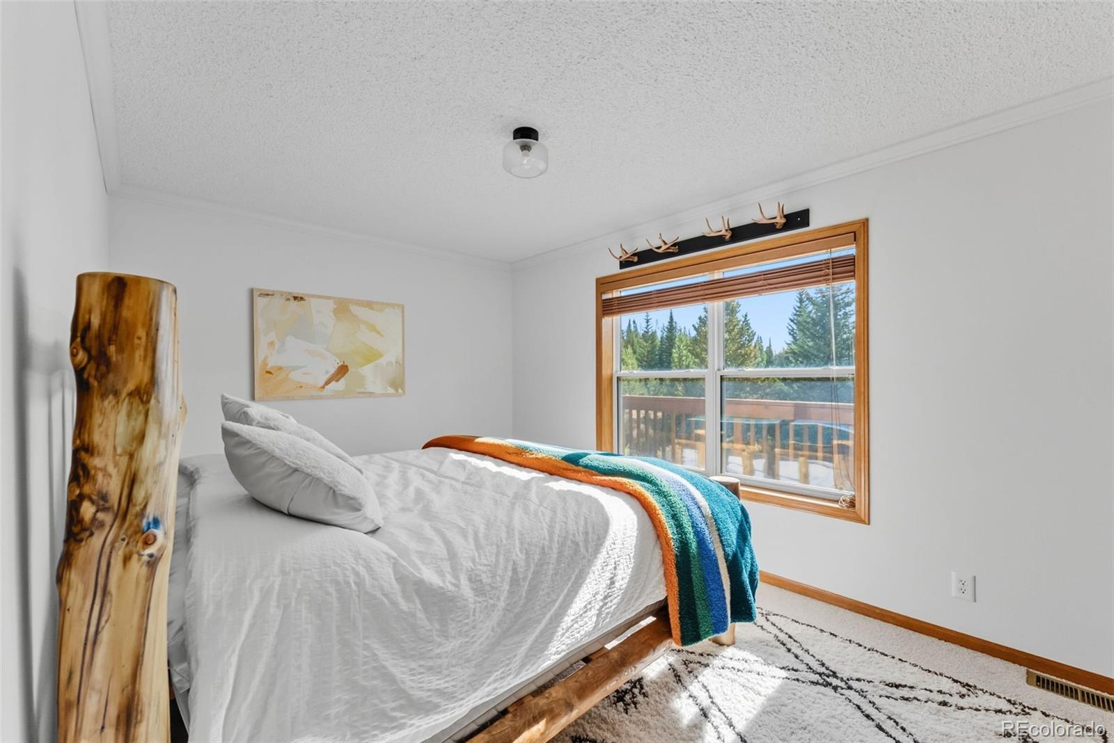 MLS Image #17 for 162 s silk sisters place,fairplay, Colorado