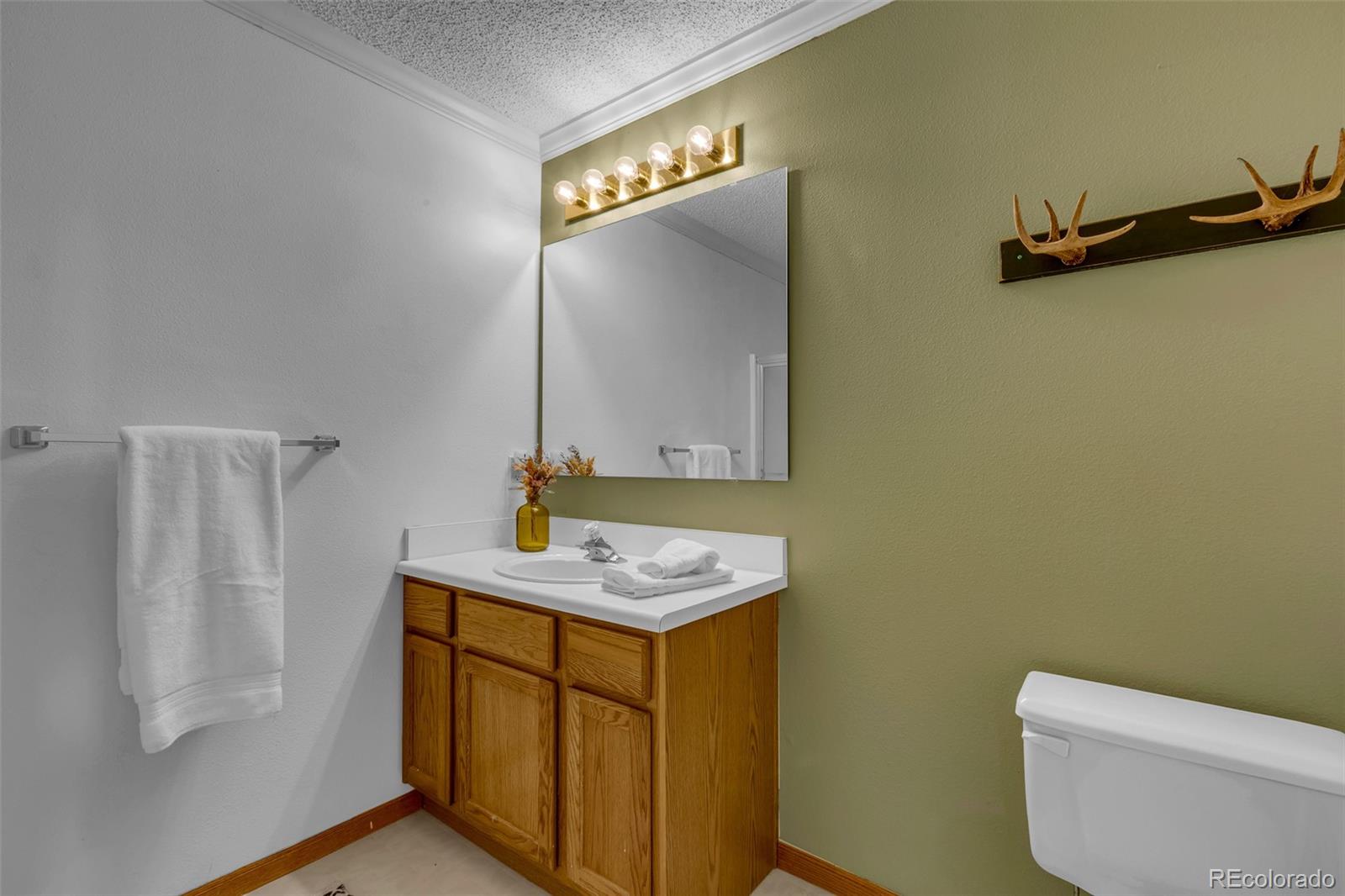 MLS Image #19 for 162 s silk sisters place,fairplay, Colorado