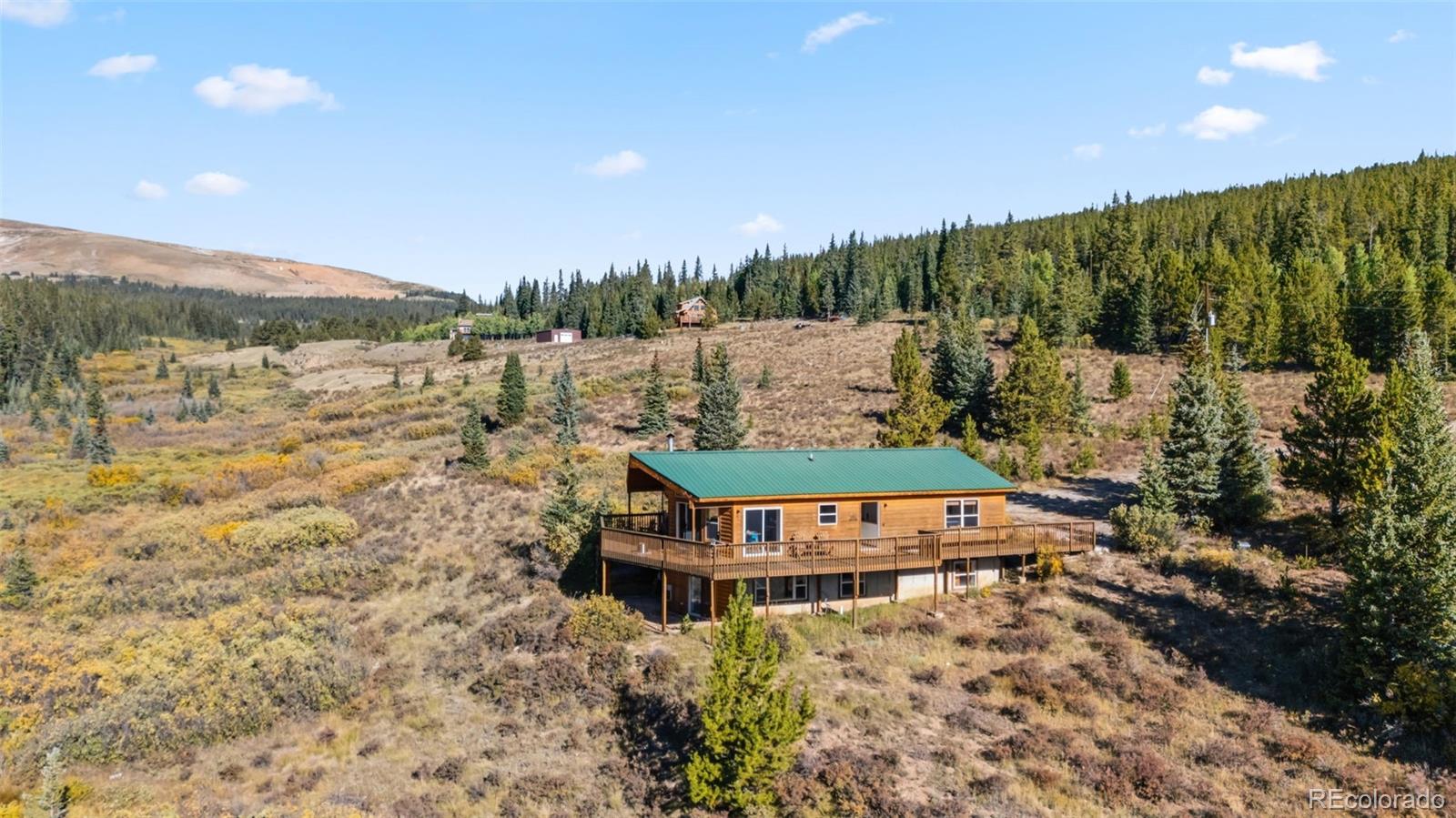 MLS Image #2 for 162 s silk sisters place,fairplay, Colorado