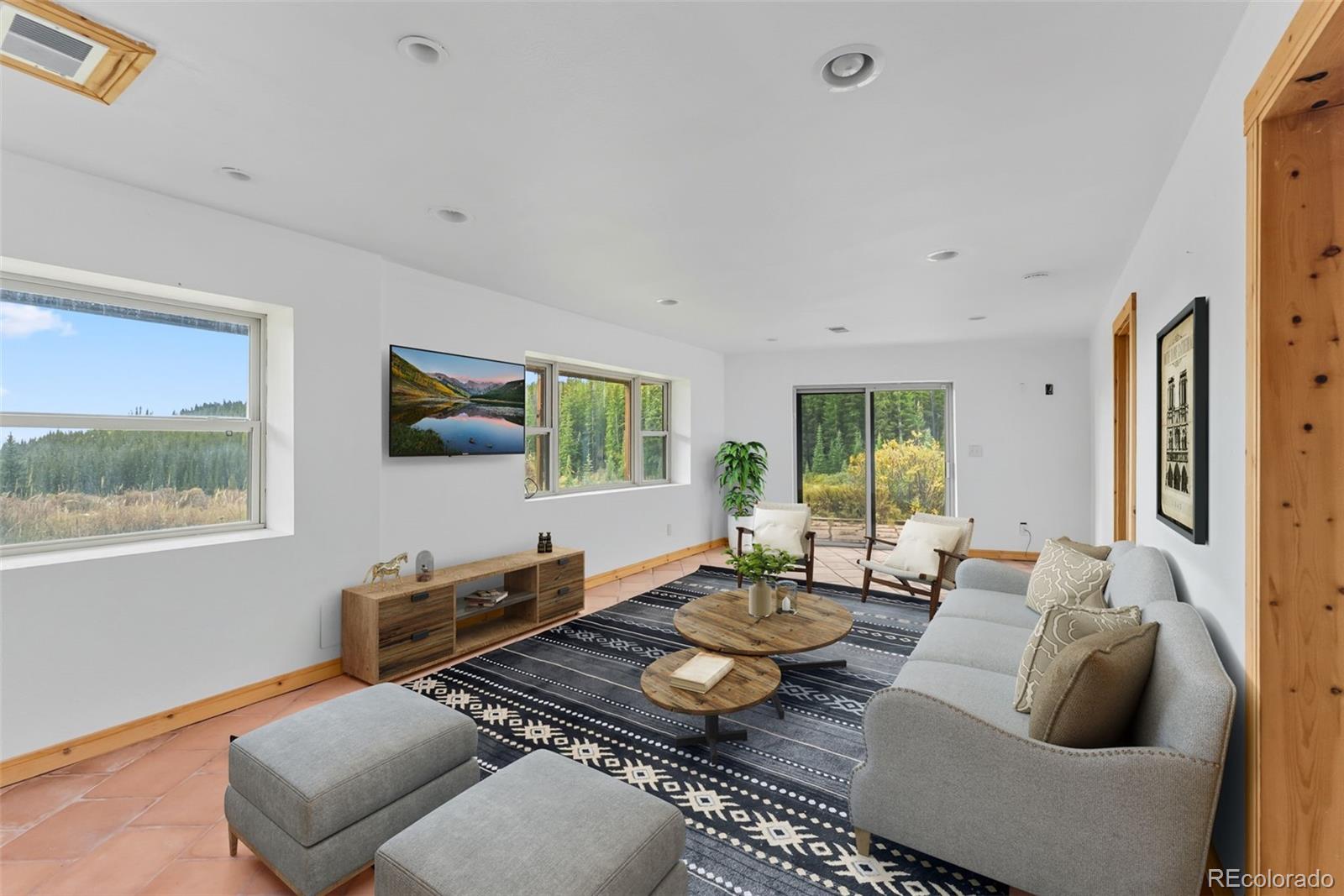 MLS Image #21 for 162 s silk sisters place,fairplay, Colorado