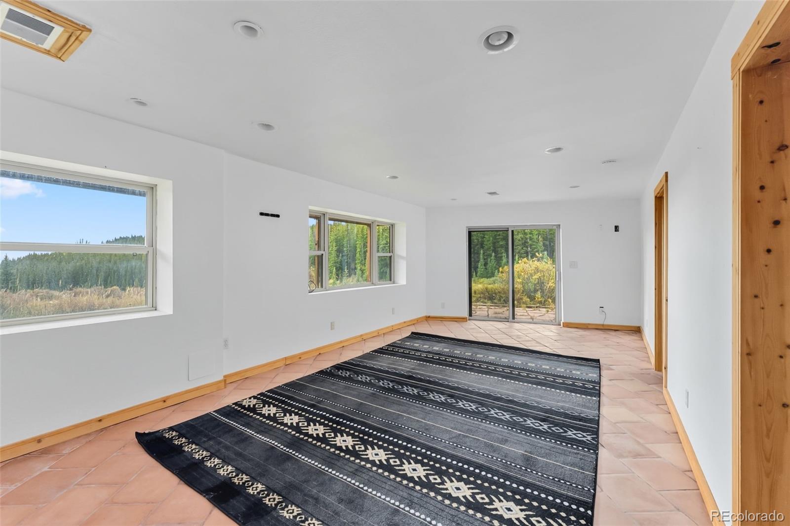 MLS Image #22 for 162 s silk sisters place,fairplay, Colorado