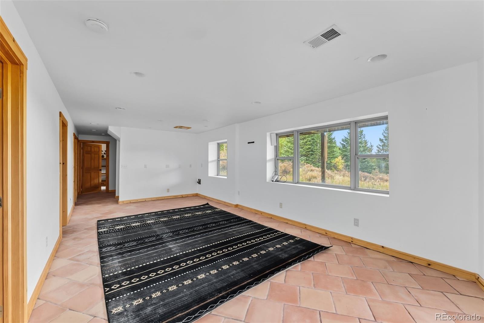 MLS Image #23 for 162 s silk sisters place,fairplay, Colorado