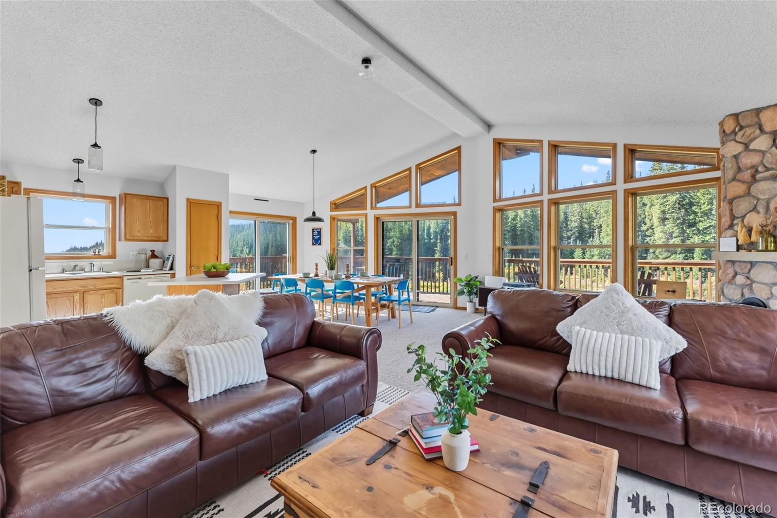 MLS Image #3 for 162 s silk sisters place,fairplay, Colorado