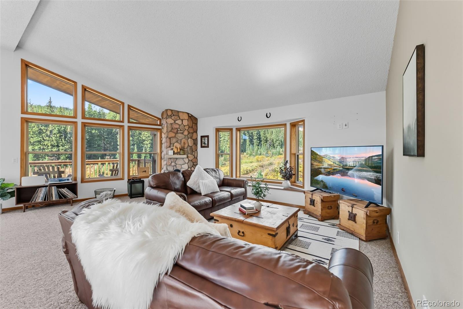 MLS Image #30 for 162 s silk sisters place,fairplay, Colorado