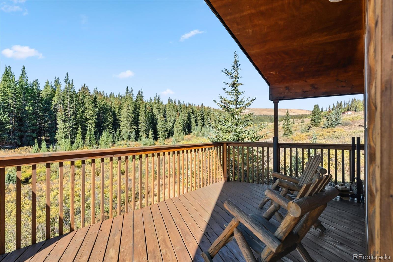 MLS Image #32 for 162 s silk sisters place,fairplay, Colorado