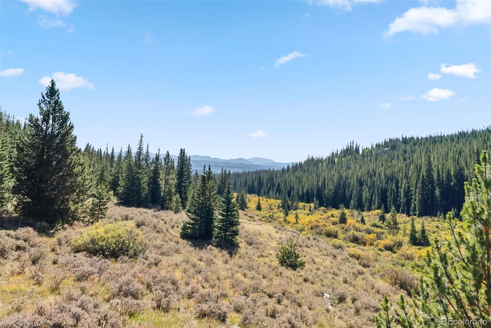 MLS Image #33 for 162 s silk sisters place,fairplay, Colorado