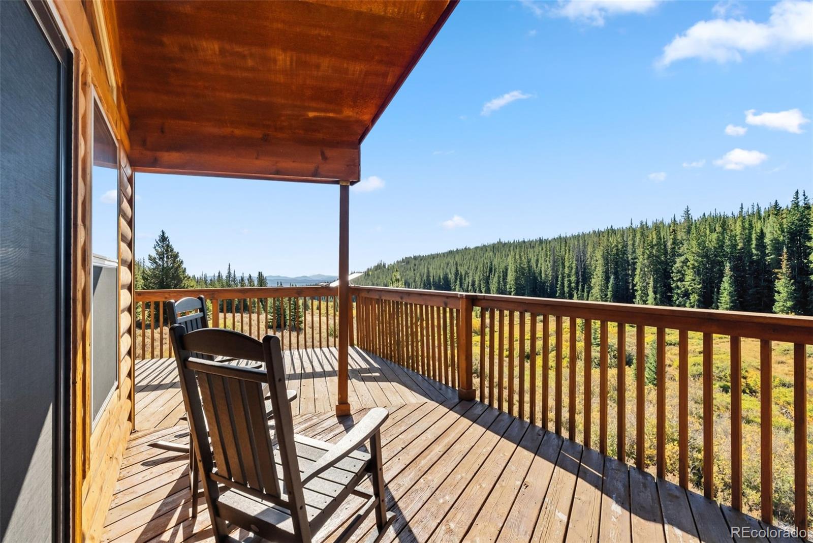 MLS Image #34 for 162 s silk sisters place,fairplay, Colorado