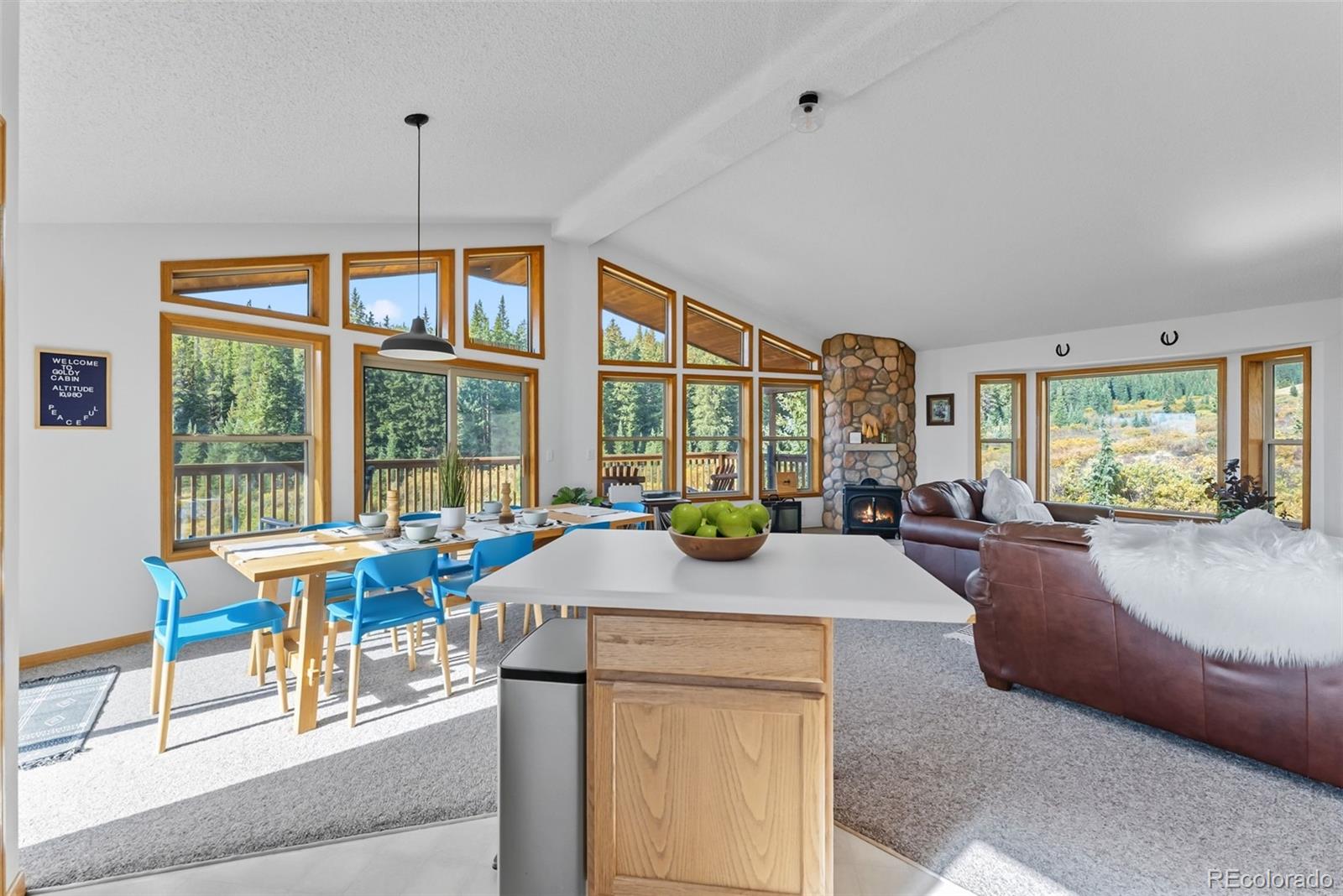 MLS Image #35 for 162 s silk sisters place,fairplay, Colorado