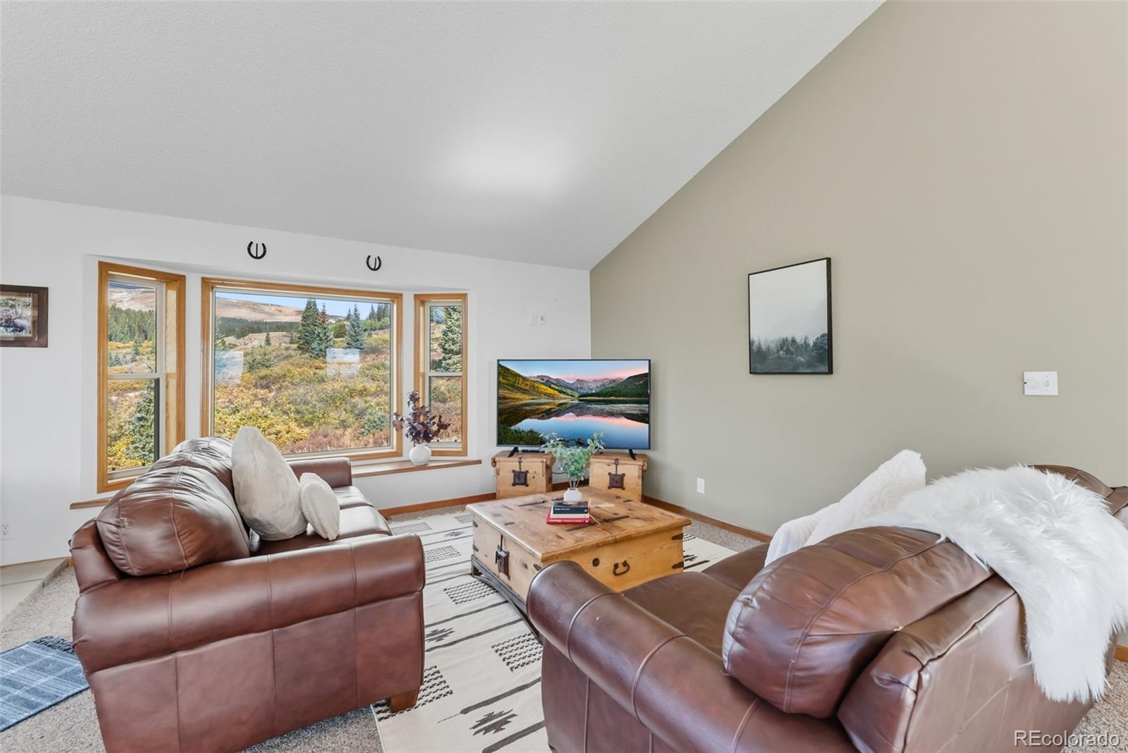 MLS Image #39 for 162 s silk sisters place,fairplay, Colorado