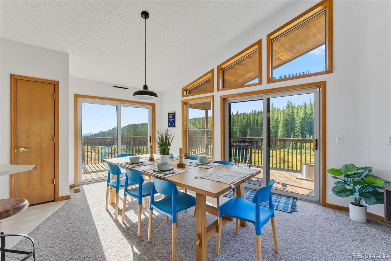 MLS Image #4 for 162 s silk sisters place,fairplay, Colorado