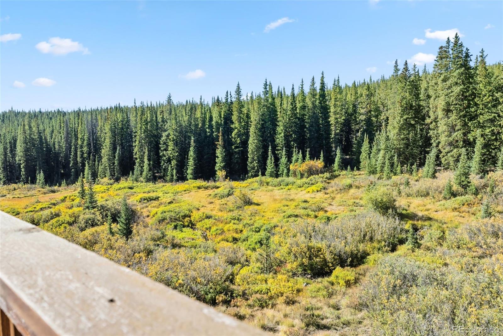MLS Image #40 for 162 s silk sisters place,fairplay, Colorado