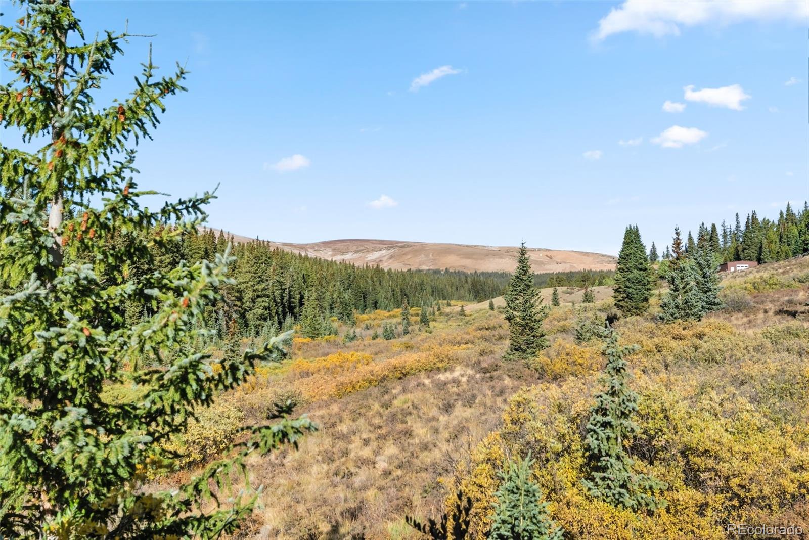 MLS Image #41 for 162 s silk sisters place,fairplay, Colorado