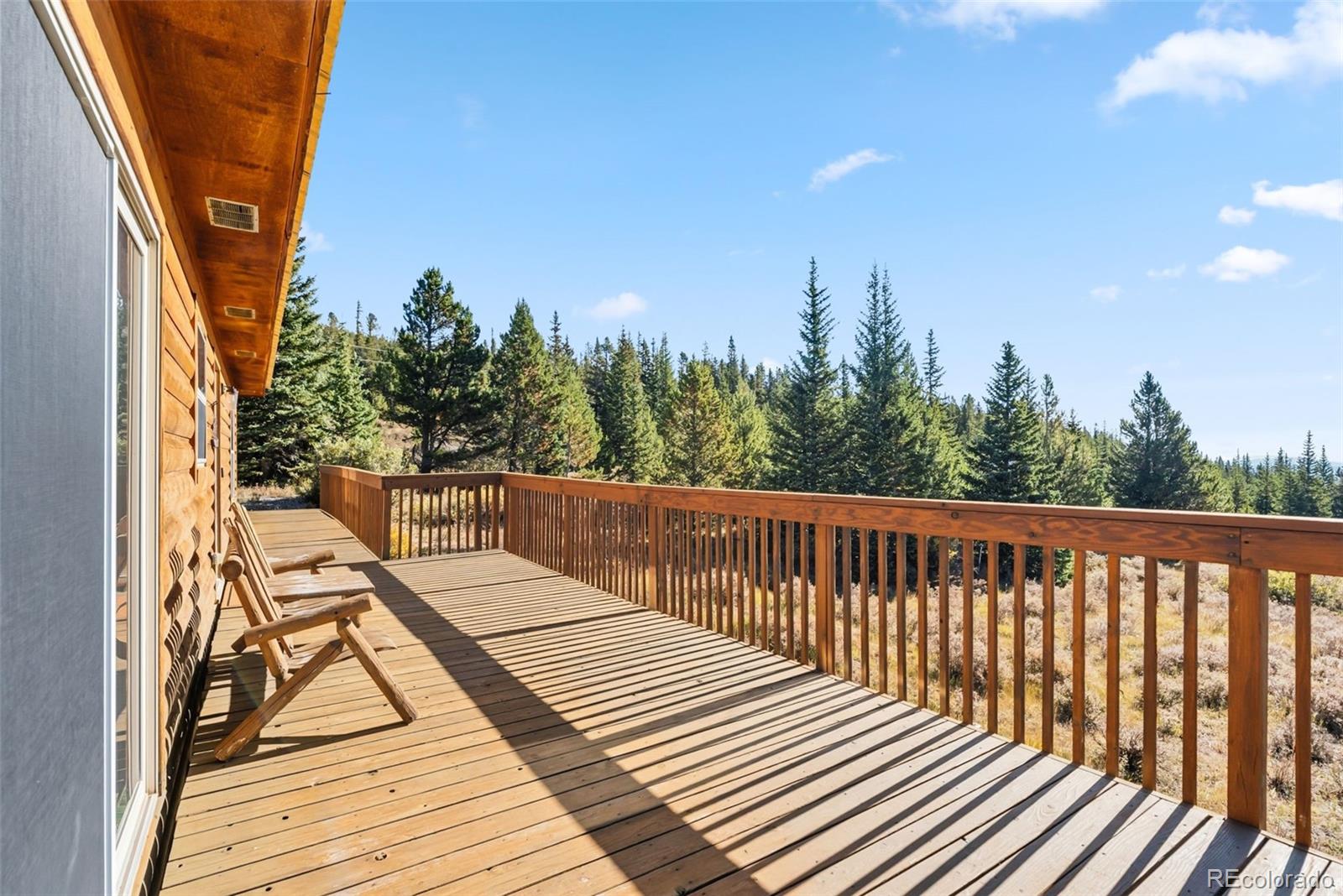 MLS Image #42 for 162 s silk sisters place,fairplay, Colorado