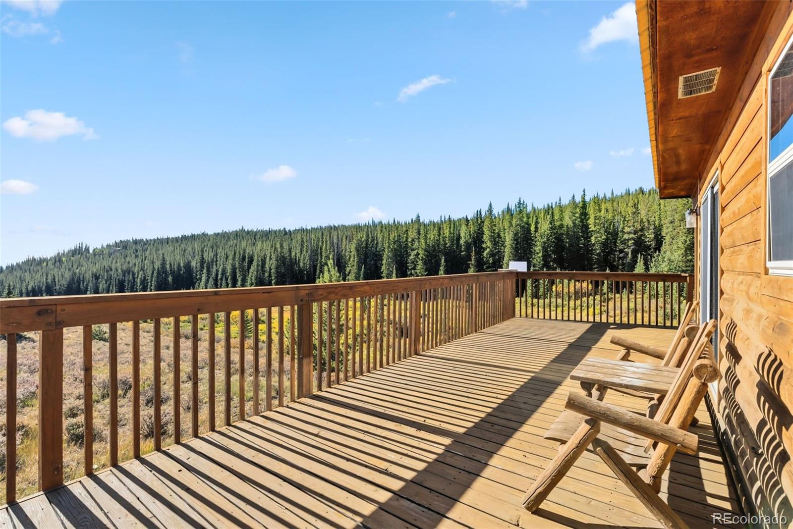 MLS Image #45 for 162 s silk sisters place,fairplay, Colorado