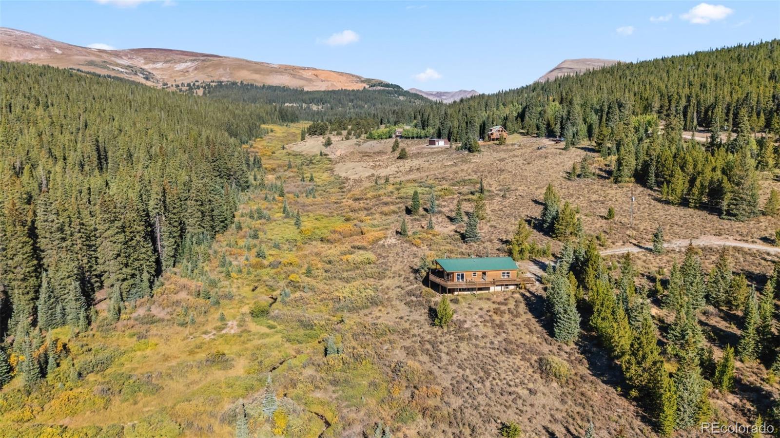 MLS Image #46 for 162 s silk sisters place,fairplay, Colorado