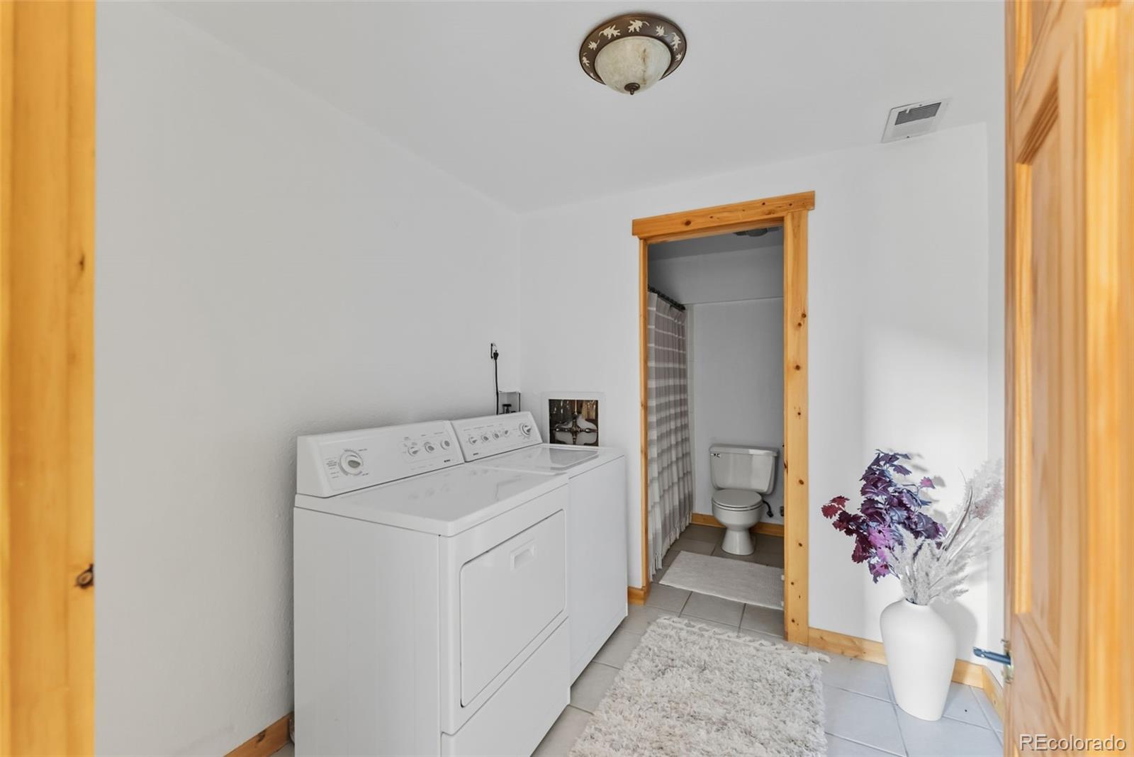 MLS Image #47 for 162 s silk sisters place,fairplay, Colorado