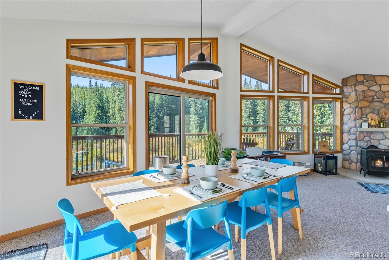 MLS Image #5 for 162 s silk sisters place,fairplay, Colorado