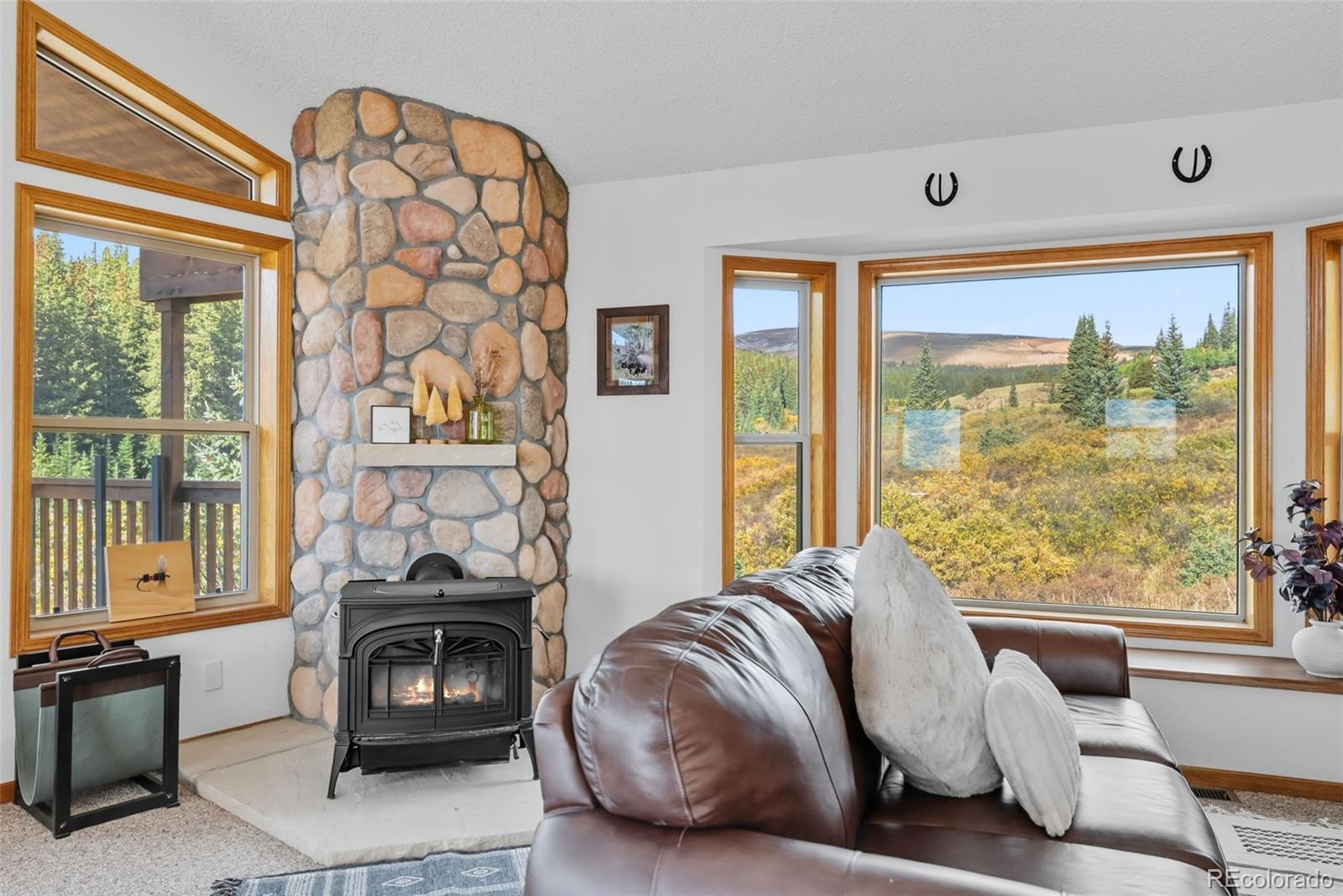 MLS Image #6 for 162 s silk sisters place,fairplay, Colorado