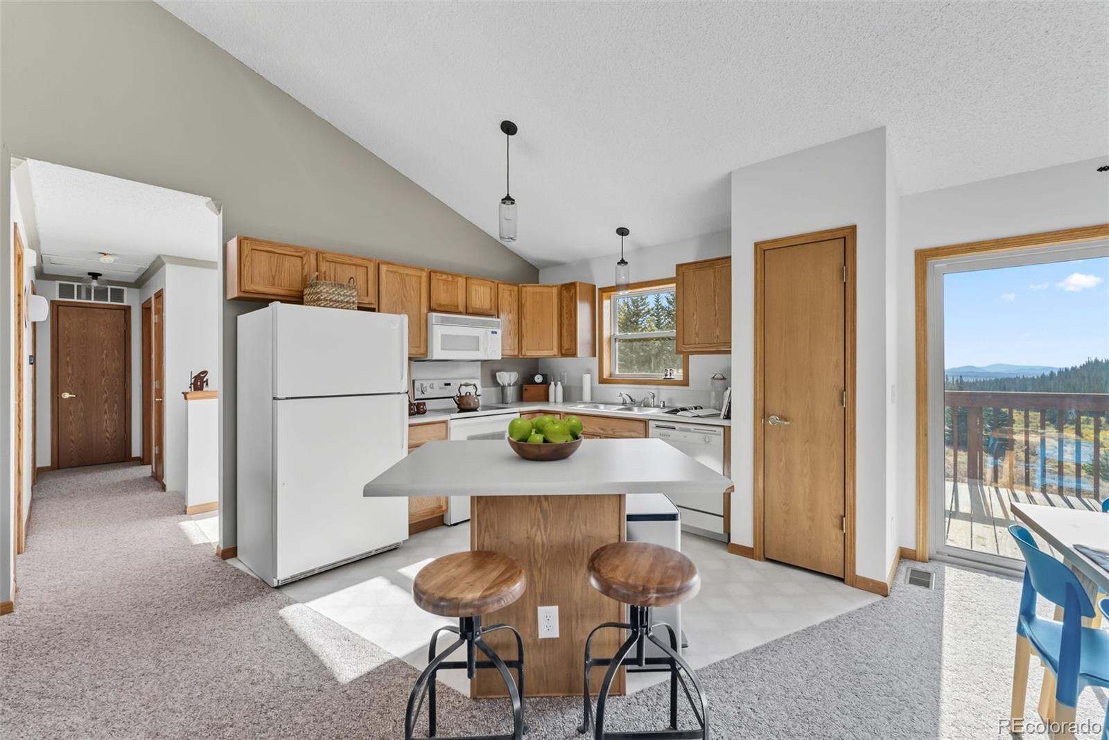 MLS Image #8 for 162 s silk sisters place,fairplay, Colorado