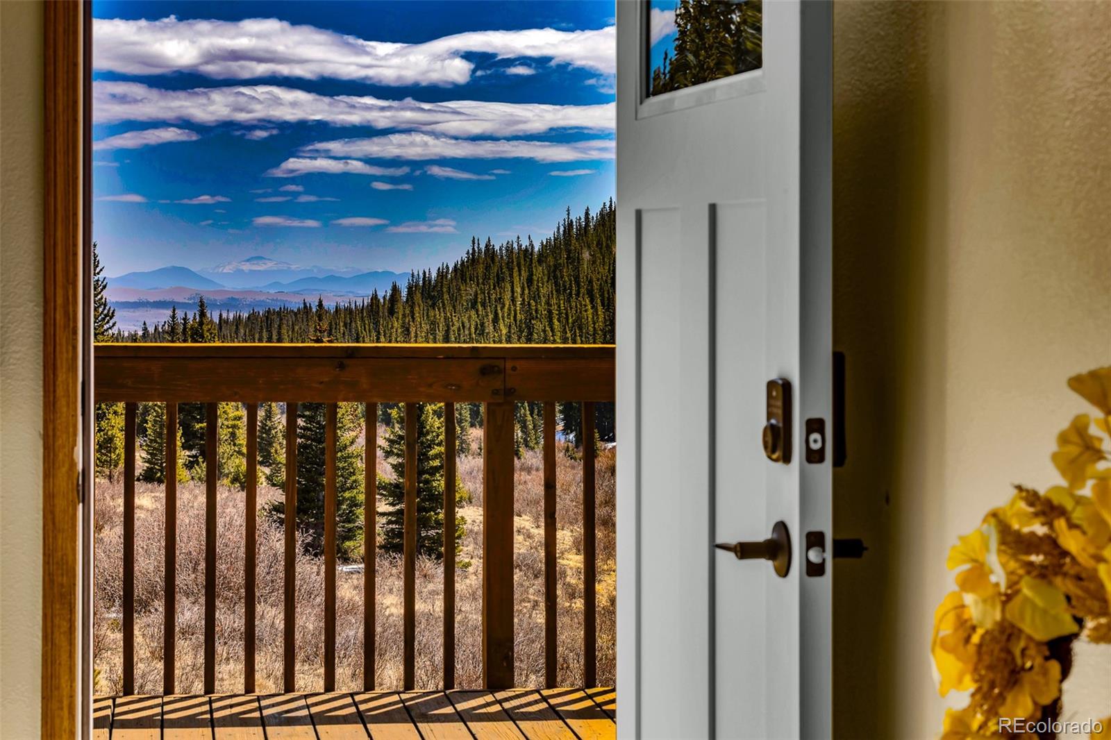 MLS Image #9 for 162 s silk sisters place,fairplay, Colorado