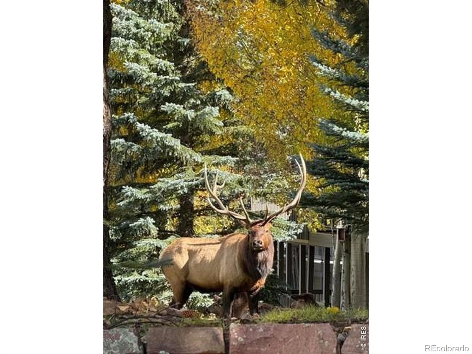 MLS Image #34 for 1449  matthew circle,estes park, Colorado
